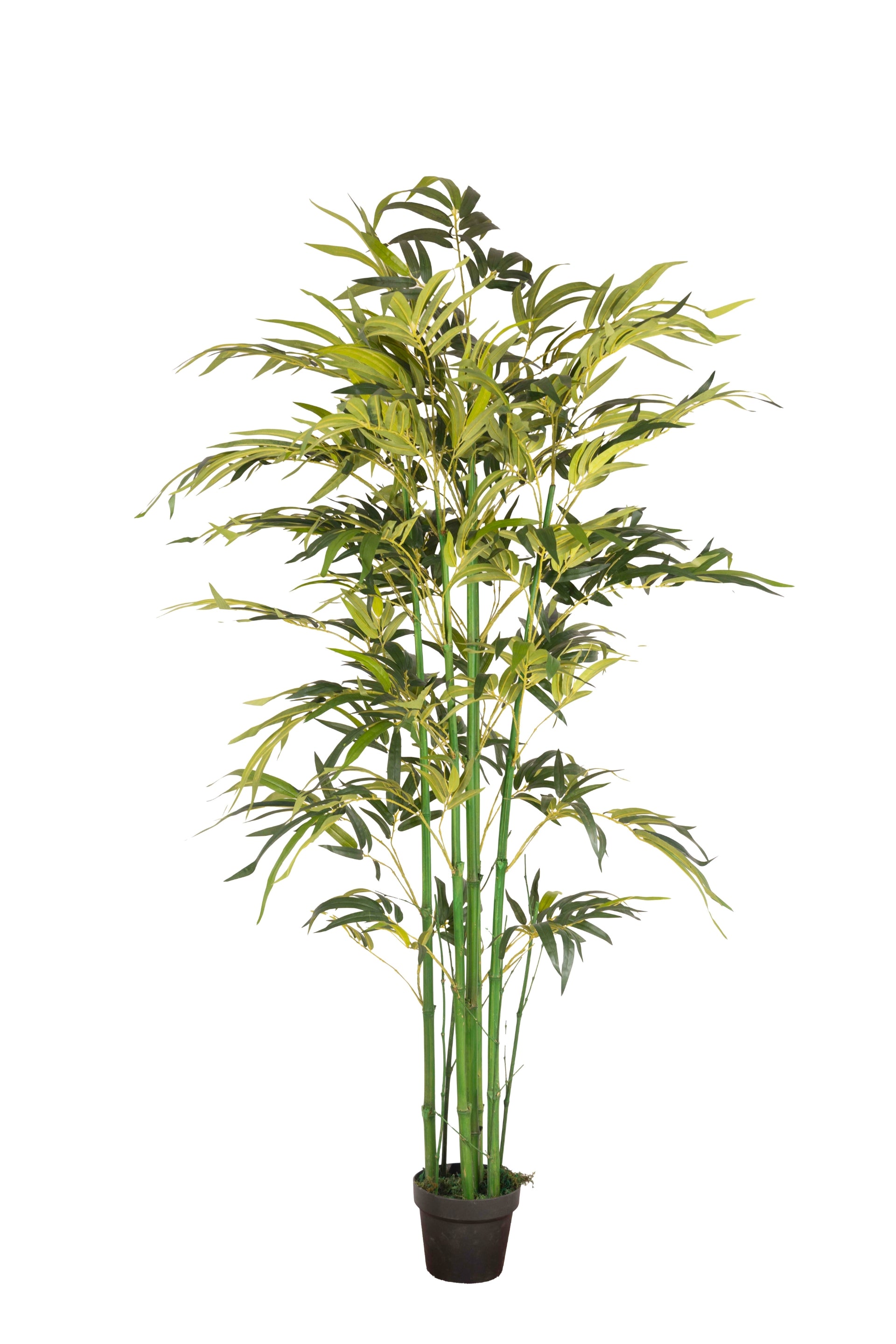 Artificial Real Touch Bamboo Plant for Home and Office Décor
