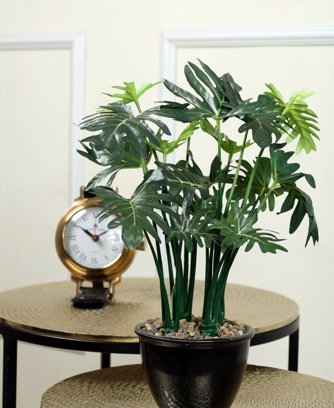 bonsai monstera Beautifully Crafted Bonsai In A Black Ceramic Pot