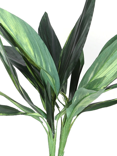 Pollination Real look  Stunning Artificial Dracaena Plant Without Pot