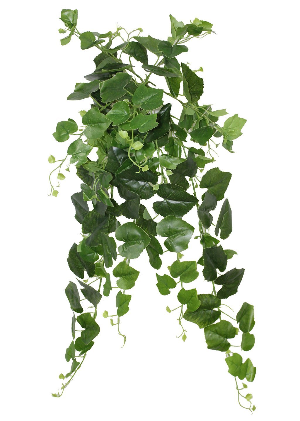 Buy Exclusive Artificial Creepers Plant for Decoration Online - pollin ...