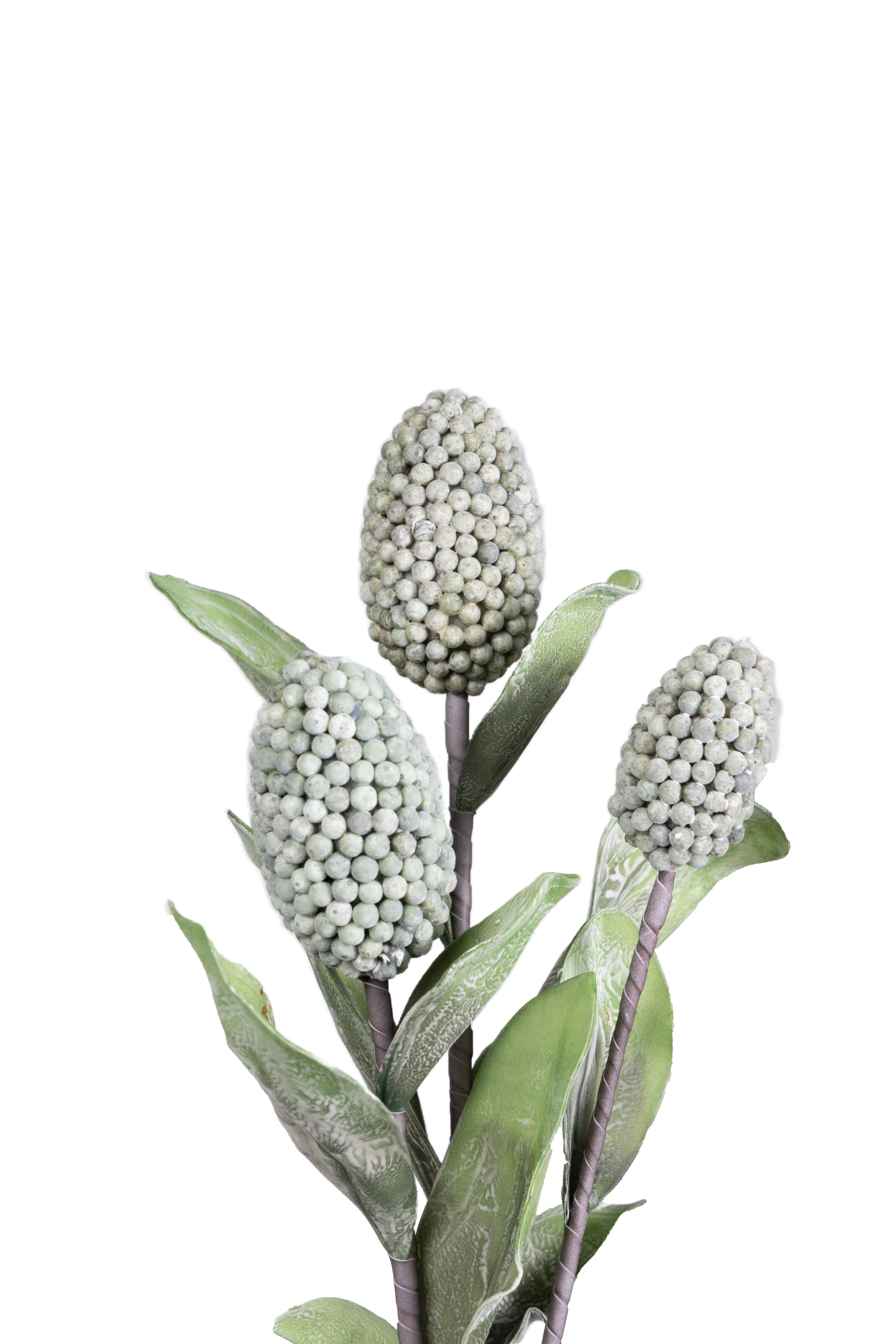 Pine husk stems Flower-Green