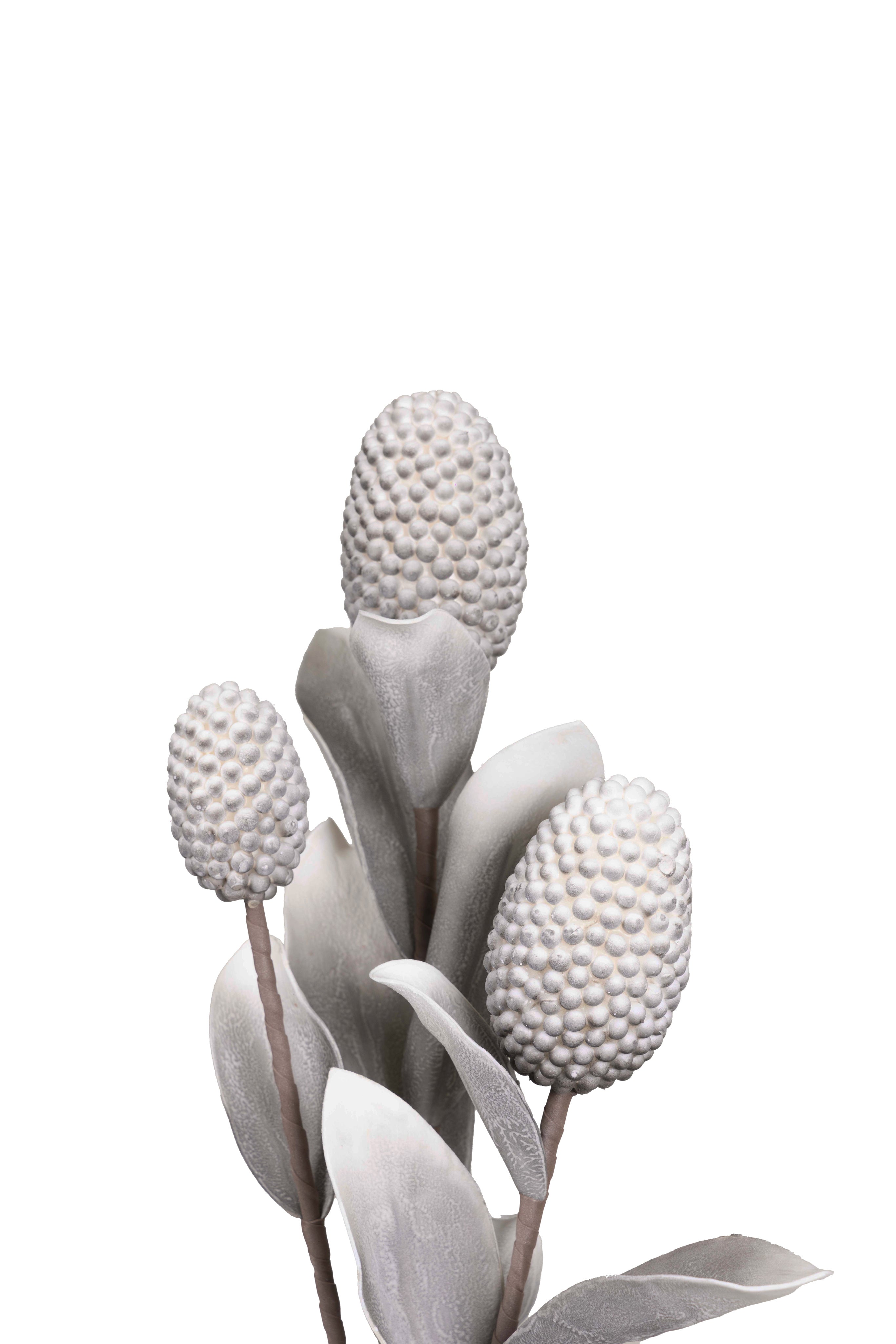 Pine husk stems Flower-Green