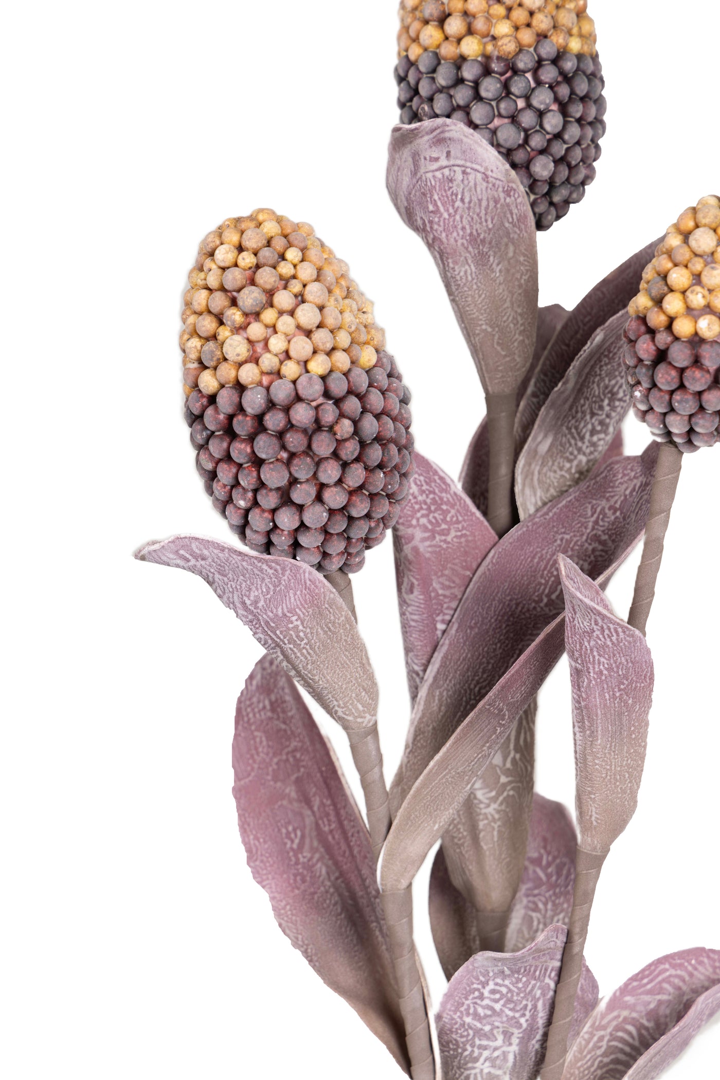 Pine husk stems Flower-Maroon