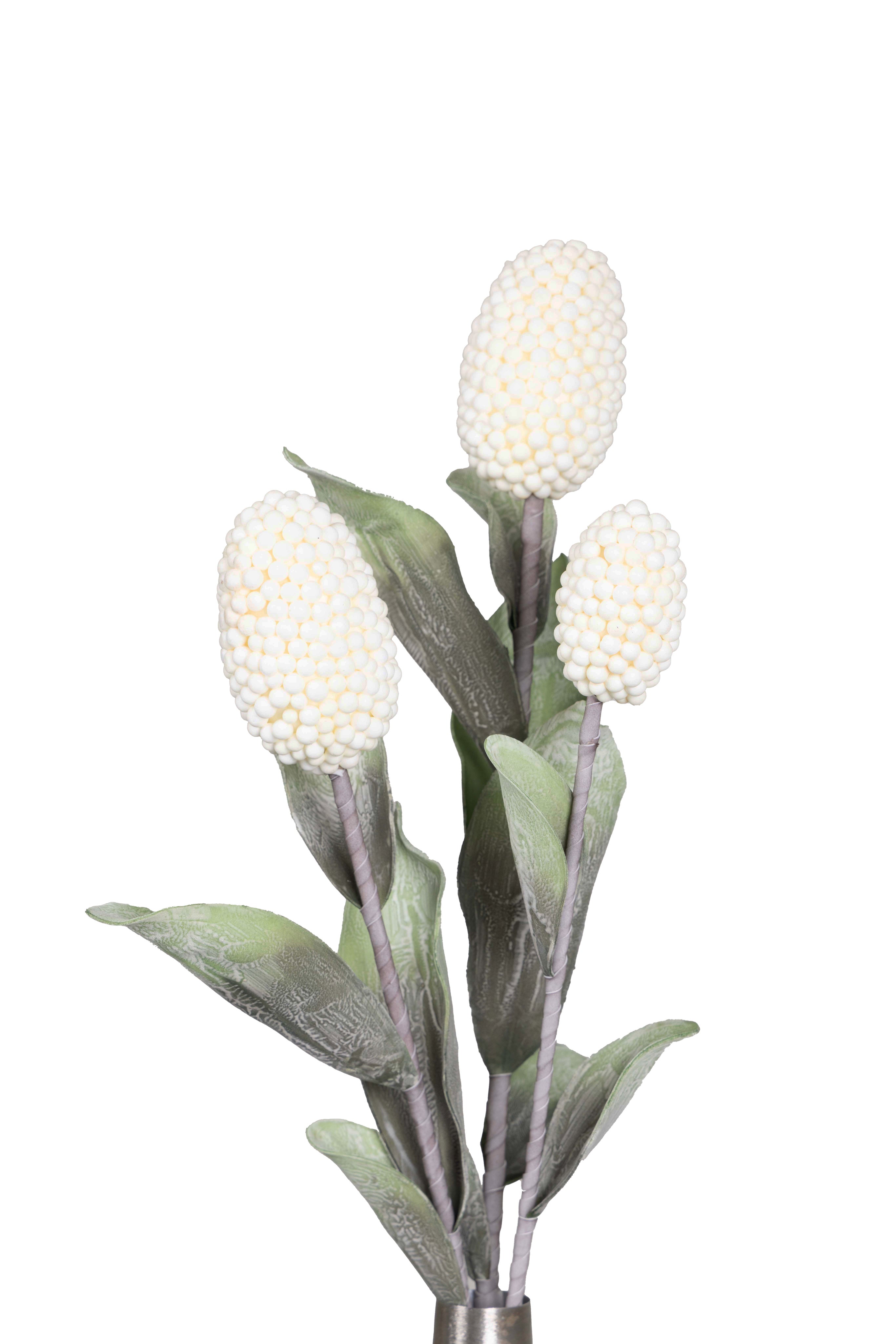 Pine husk stems Flower-Green