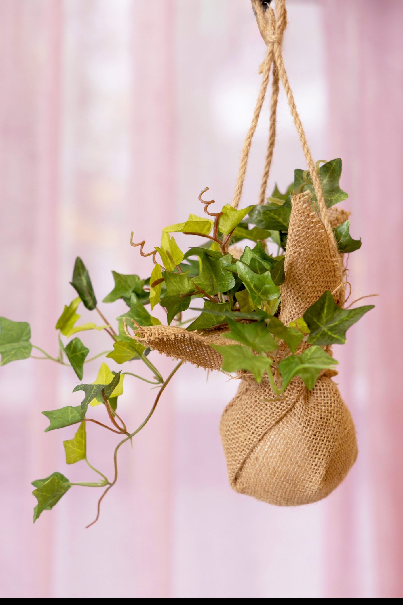 PolliNation Beautiful Artificial Hanging Ivy Creeper in a Jute Bag for Balcony (Pack of 1) Photos