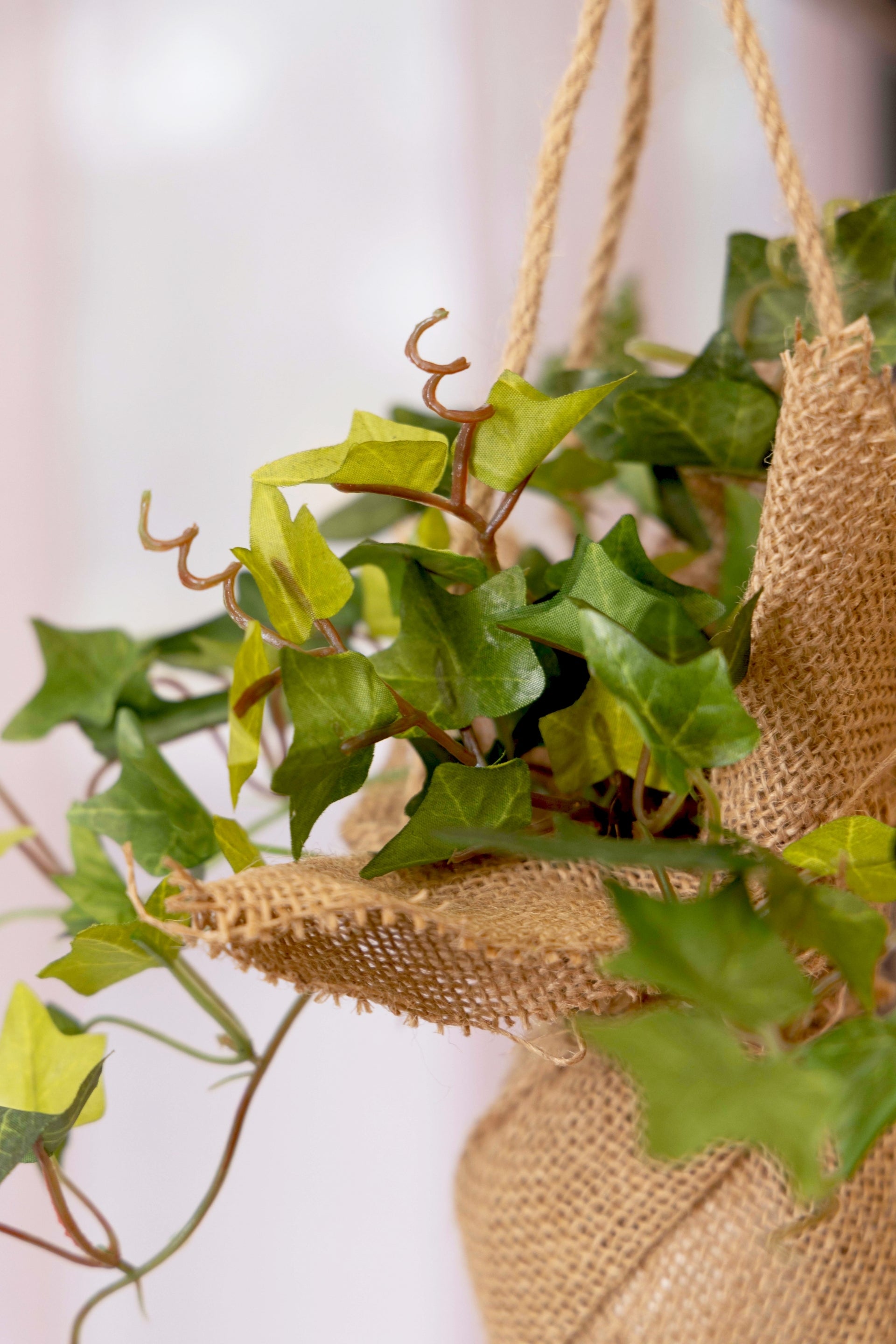 PolliNation Beautiful Artificial Hanging Ivy Creeper in a Jute Bag for Balcony (Pack of 1) Photos
