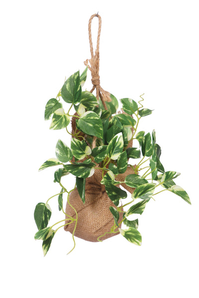 PolliNation Beautiful Artificial Hanging Ivy Creeper in a Jute Bag for Balcony (Pack of 1) Photos