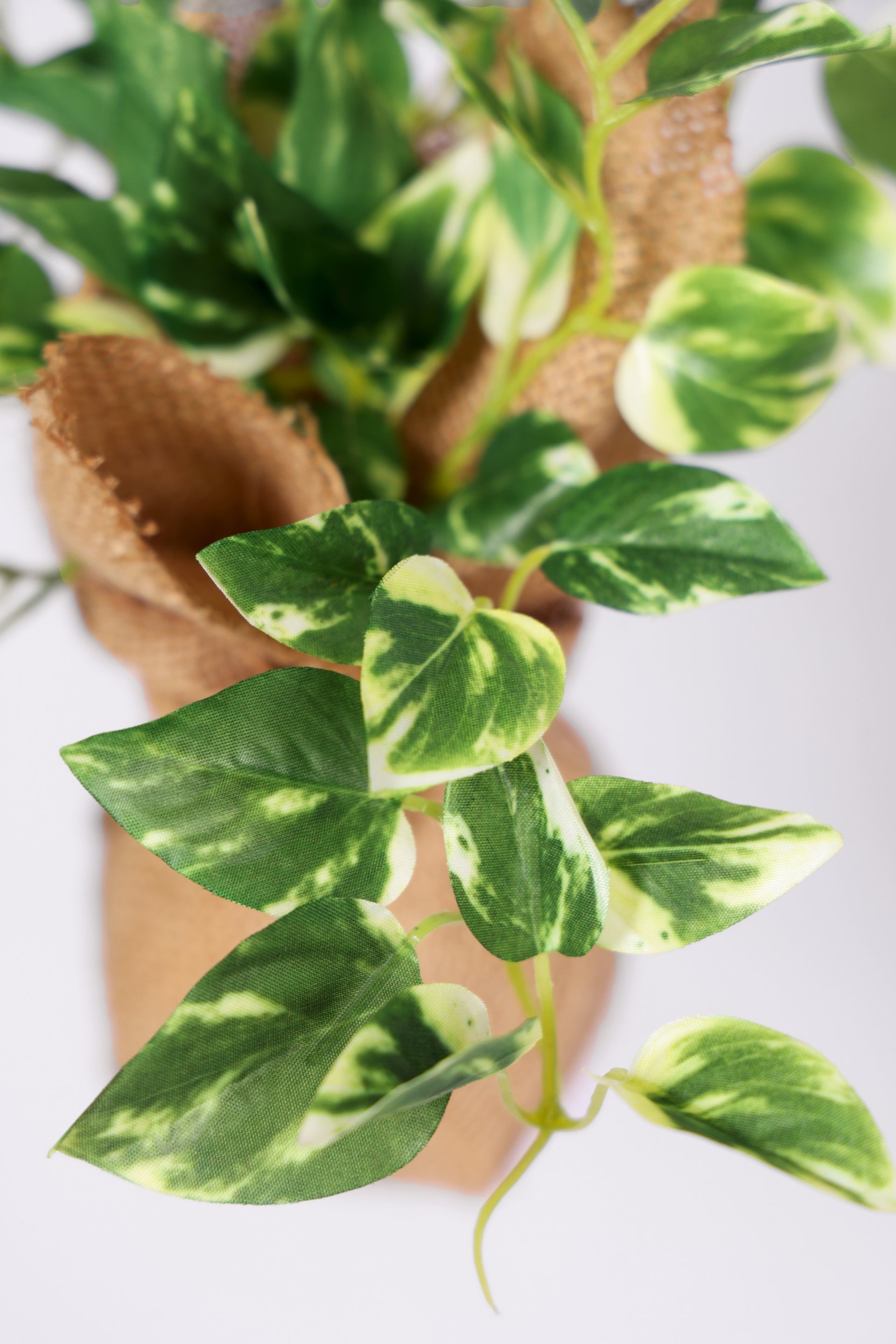 PolliNation Beautiful Artificial Hanging Ivy Creeper in a Jute Bag for Balcony (Pack of 1) Photos