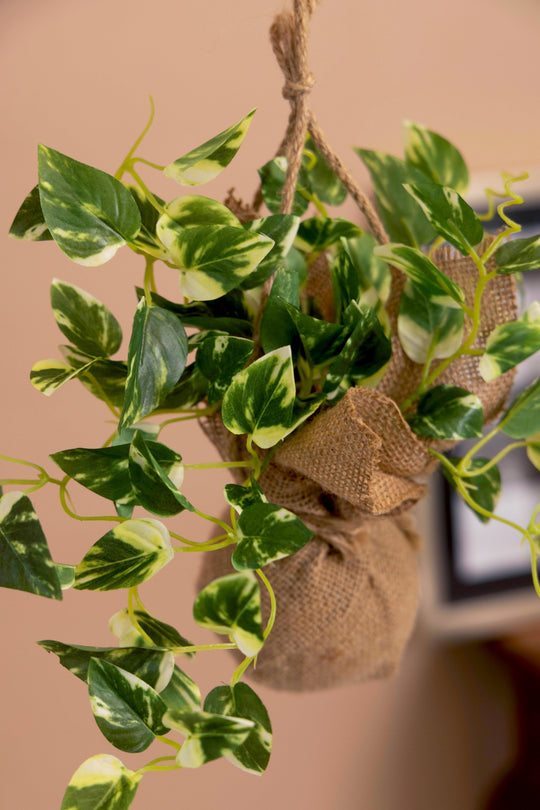 artificial hanging plants for balcony Artificial Creeper Plants Bonsai with Jute Bag for Balcony (Pack of 1, 14  Inch)