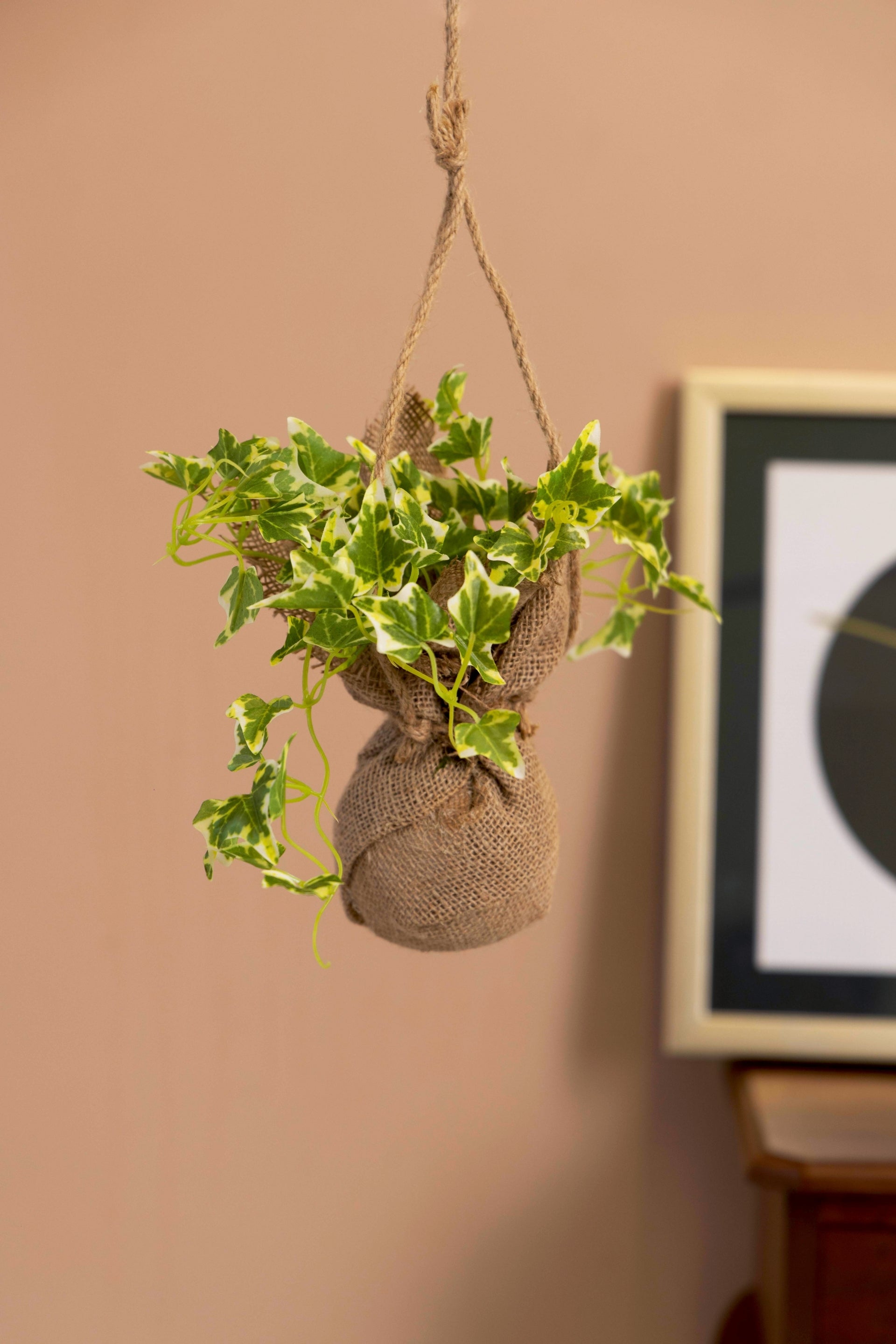 PolliNation Beautiful Artificial Hanging Ivy Creeper in a Jute Bag for Balcony (Pack of 1) Photos