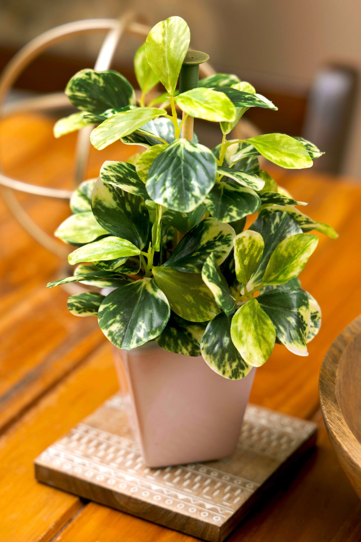 Pollination Artificial White Green Bonsai Plant With Pot (COLEUS)