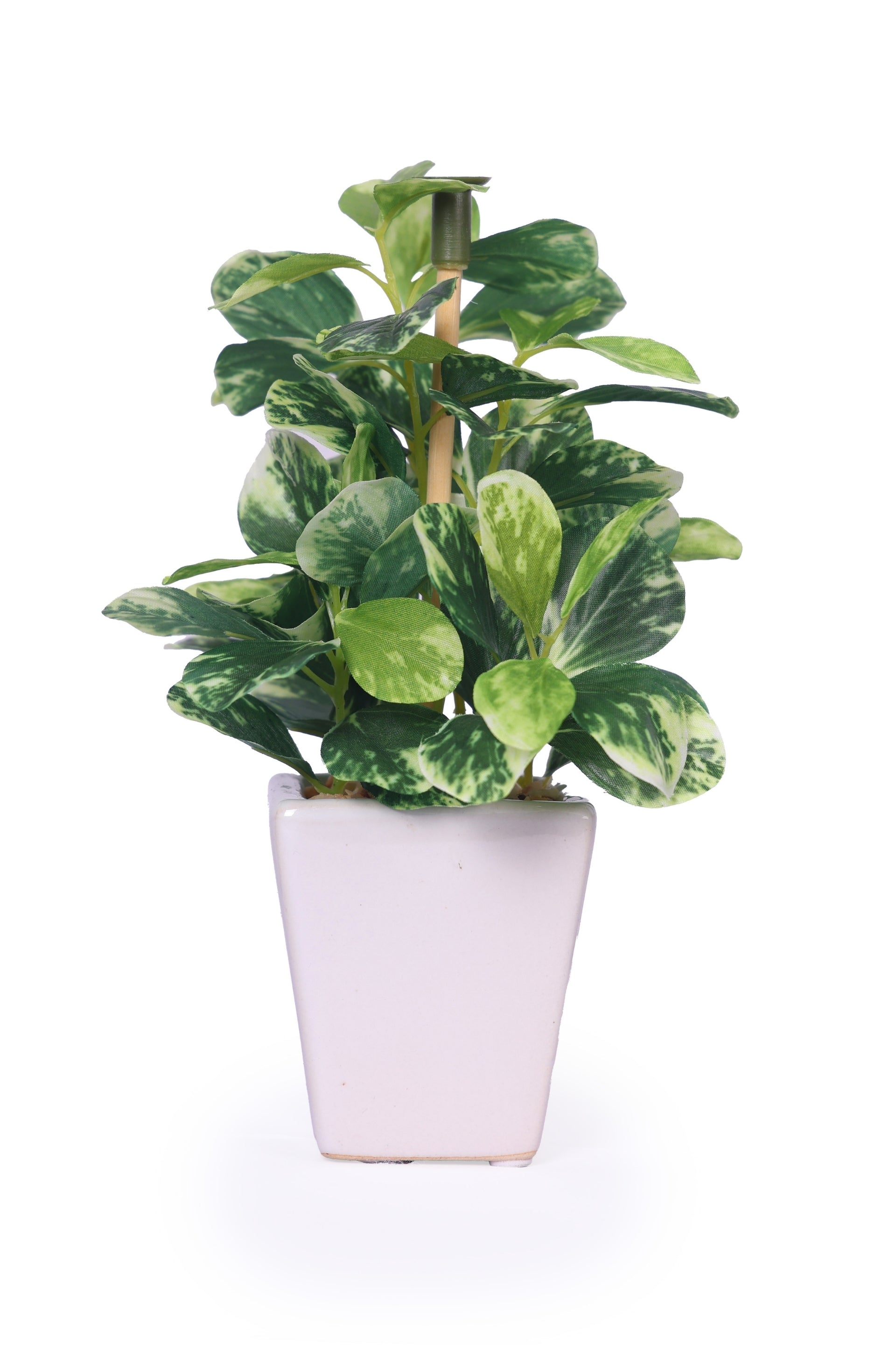 Pollination Artificial White Green Bonsai Plant With Pot (COIN)