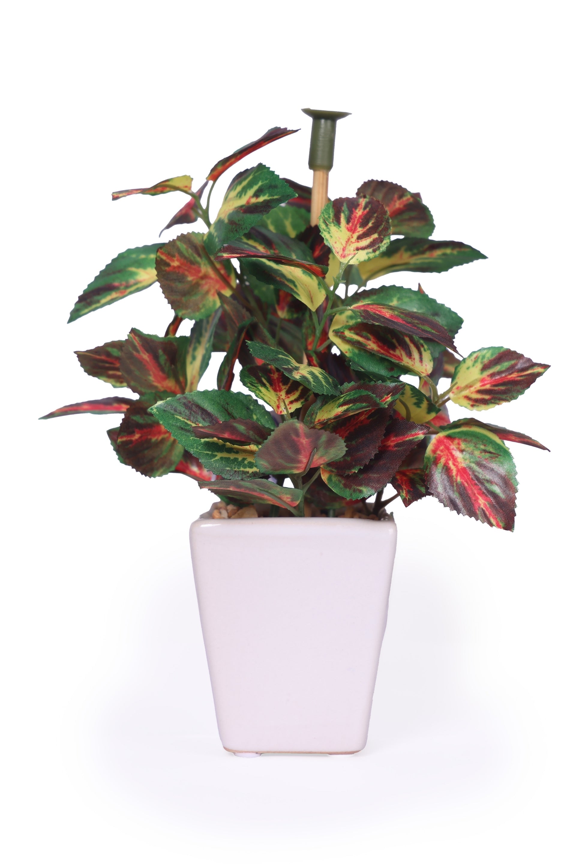 Pollination Artificial White Green Bonsai Plant With Pot (COIN)