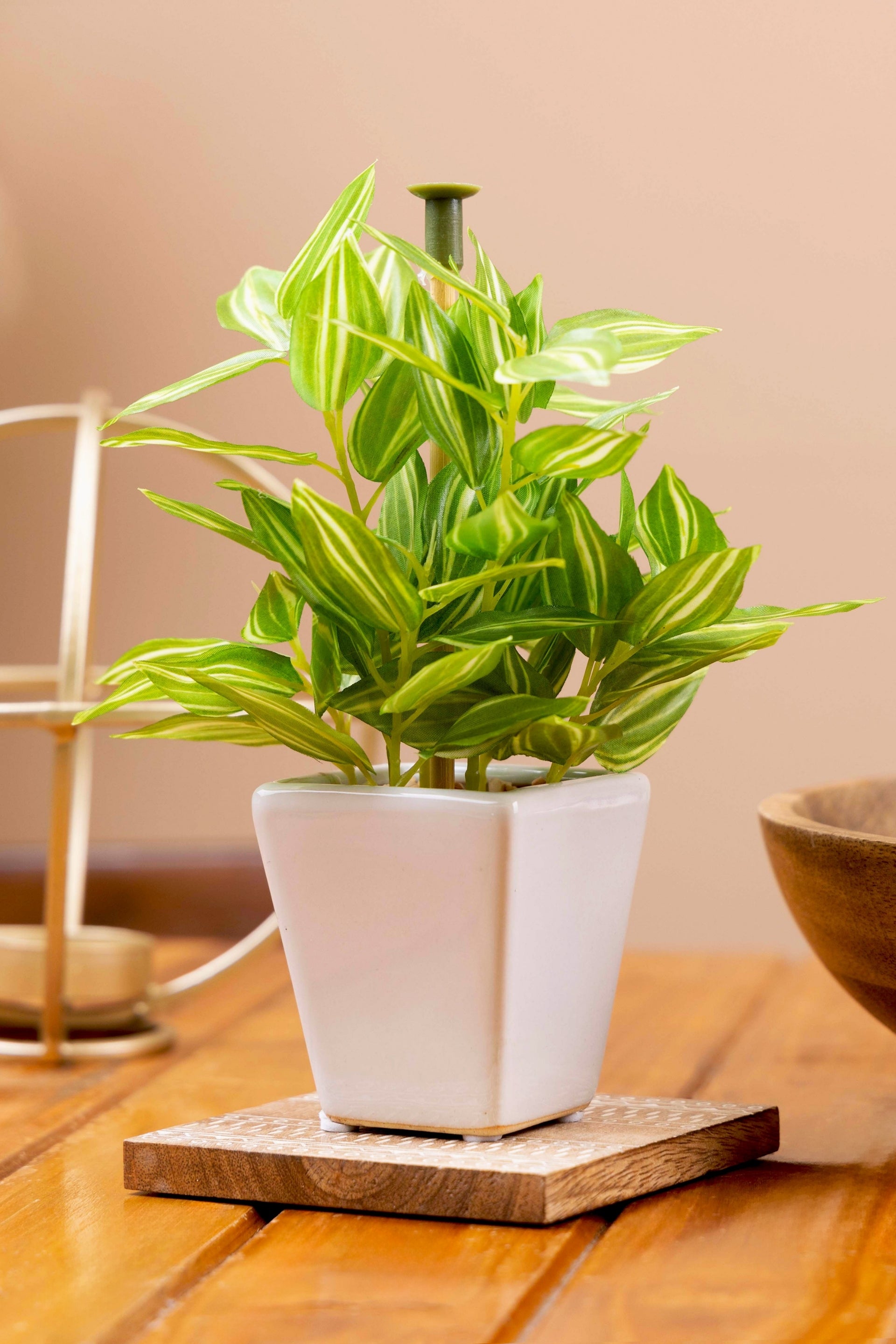 Pollination Artificial White Green Bonsai Plant With Pot (COIN)