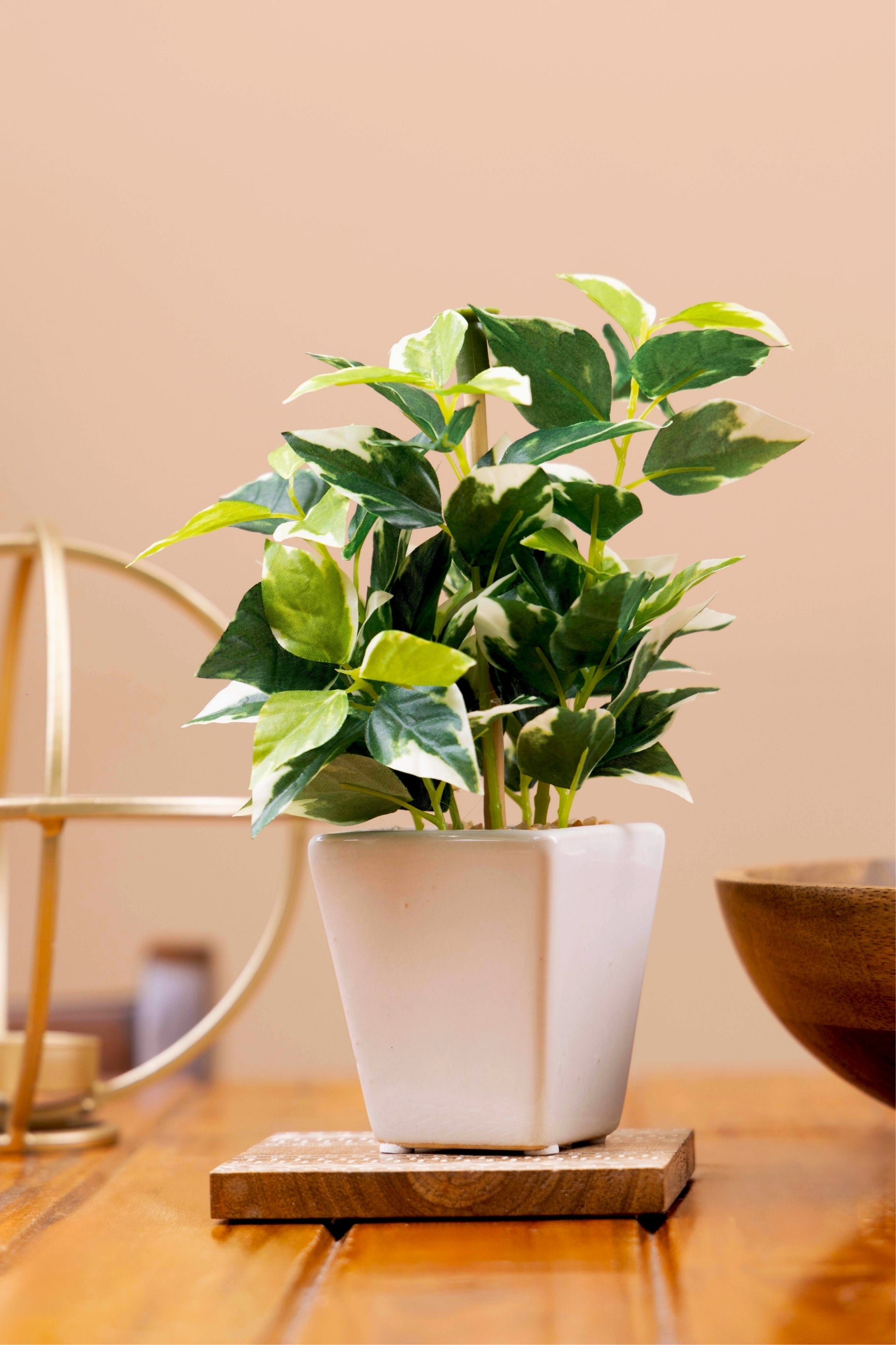 Pollination Artificial White Green Bonsai Plant With Pot (COIN)