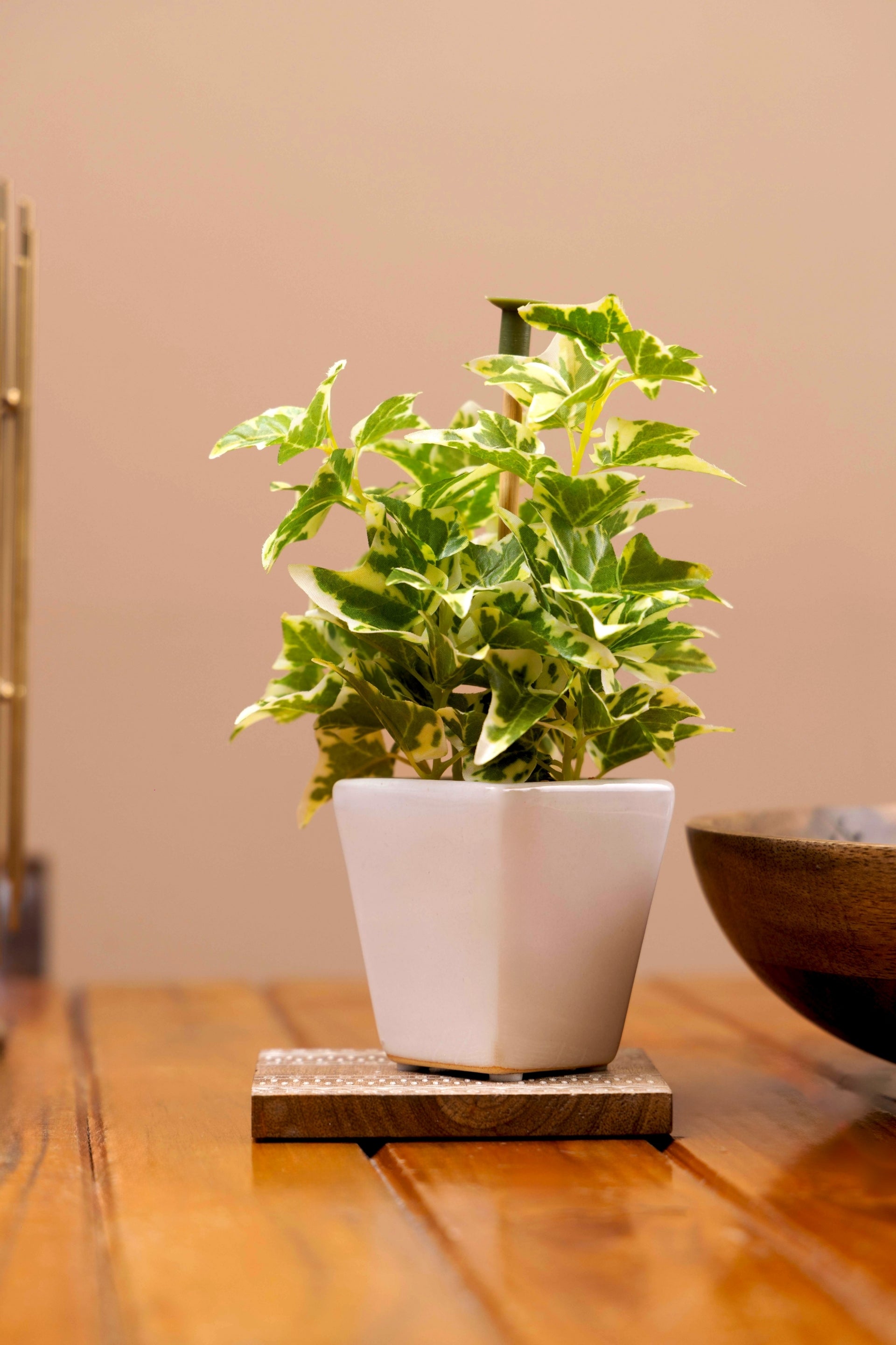 Pollination Artificial White Green Bonsai Plant With Pot (COIN)