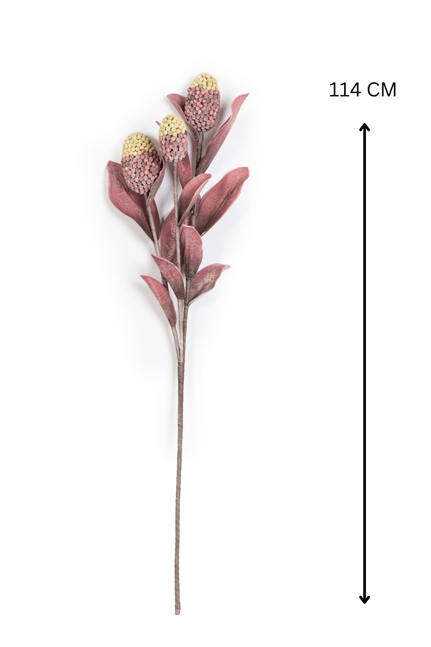 Pine husk stems Flower-Maroon