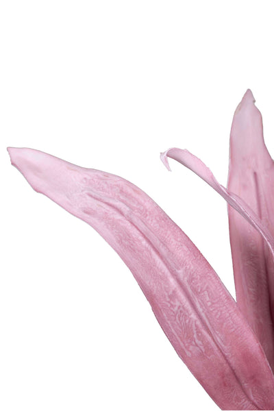 Artificial Feather & Leaf Stem-Pink