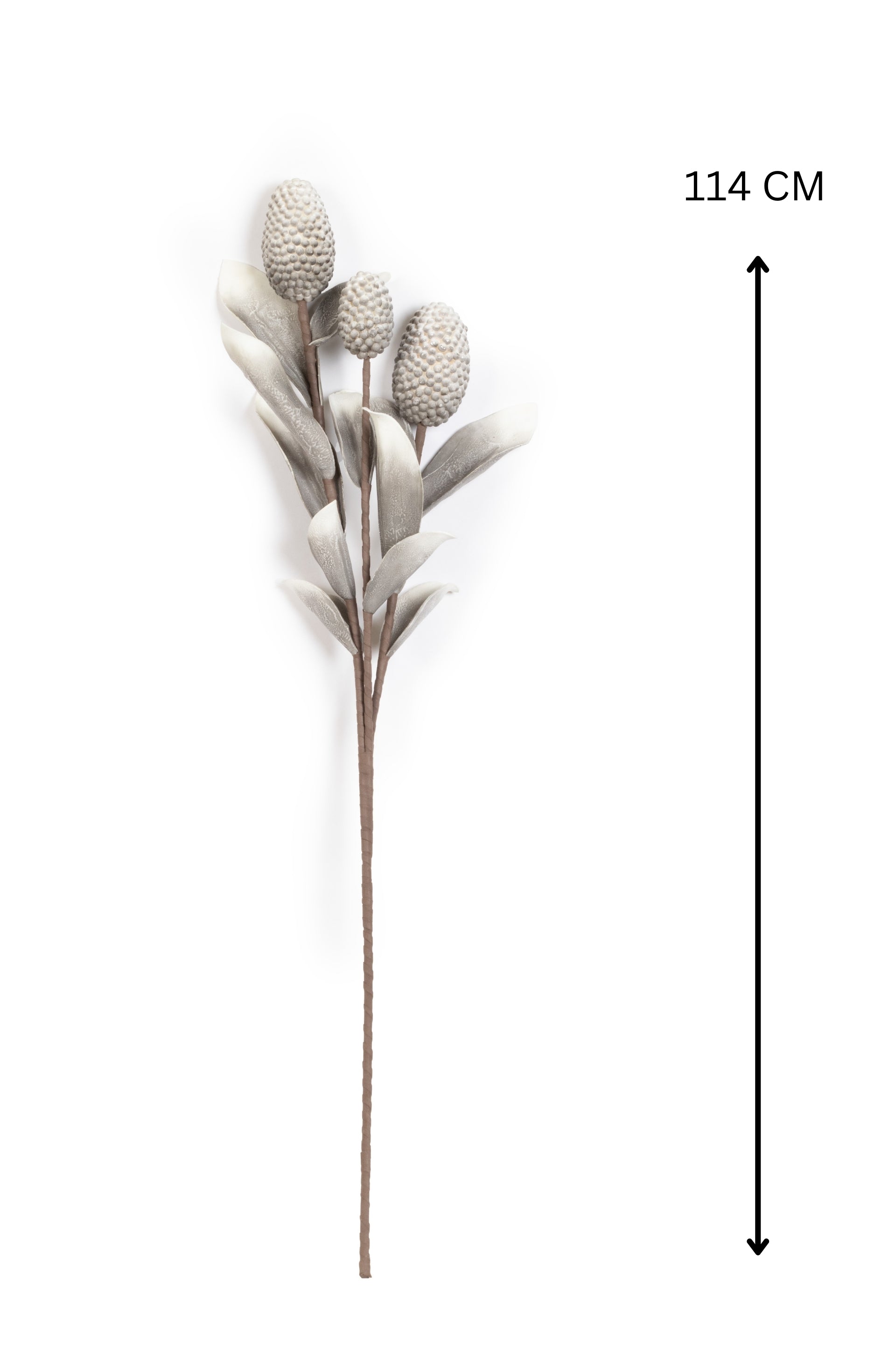 Pine husk stems Flower-Green