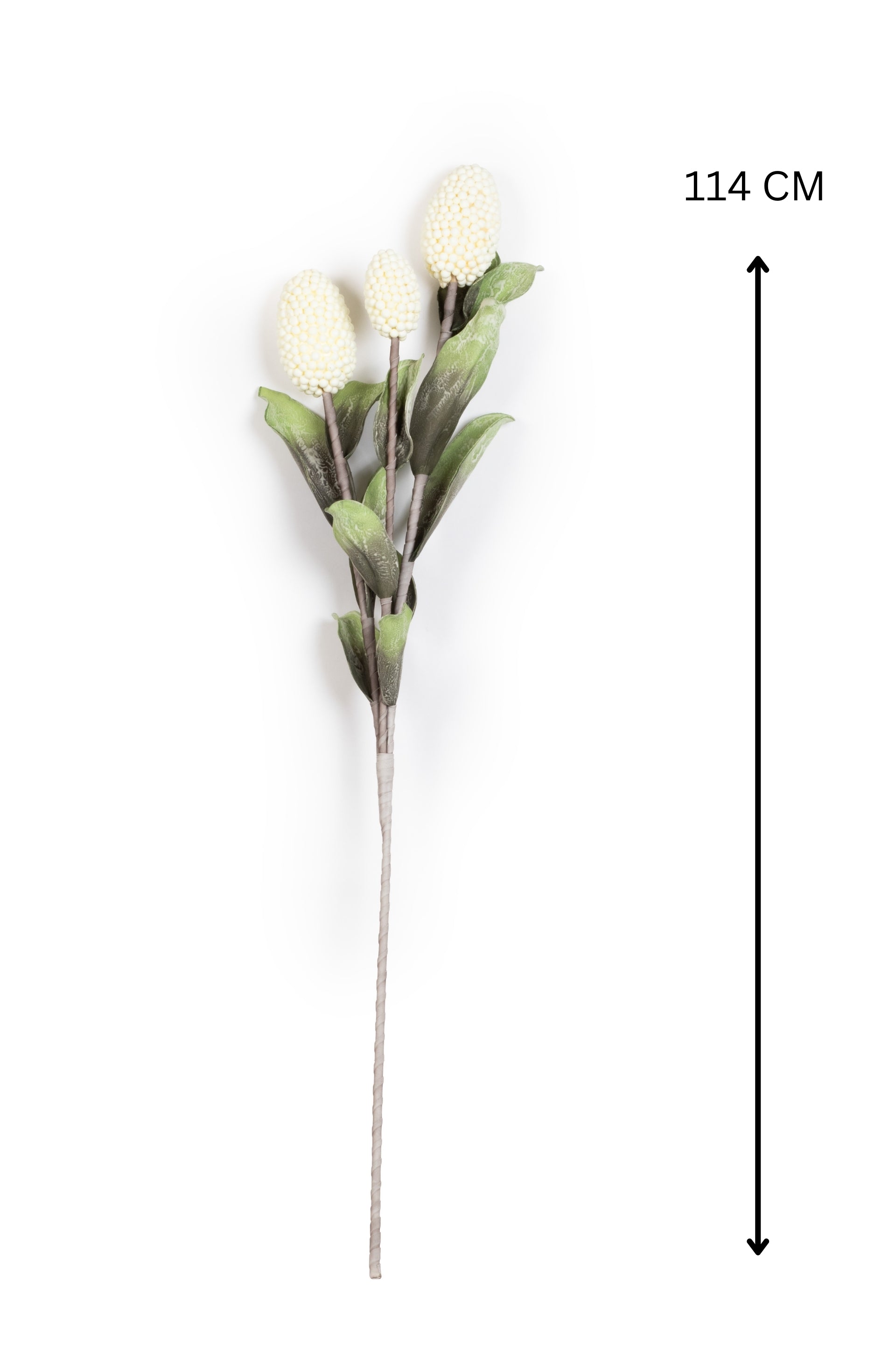 Pine husk stems Flower-Green