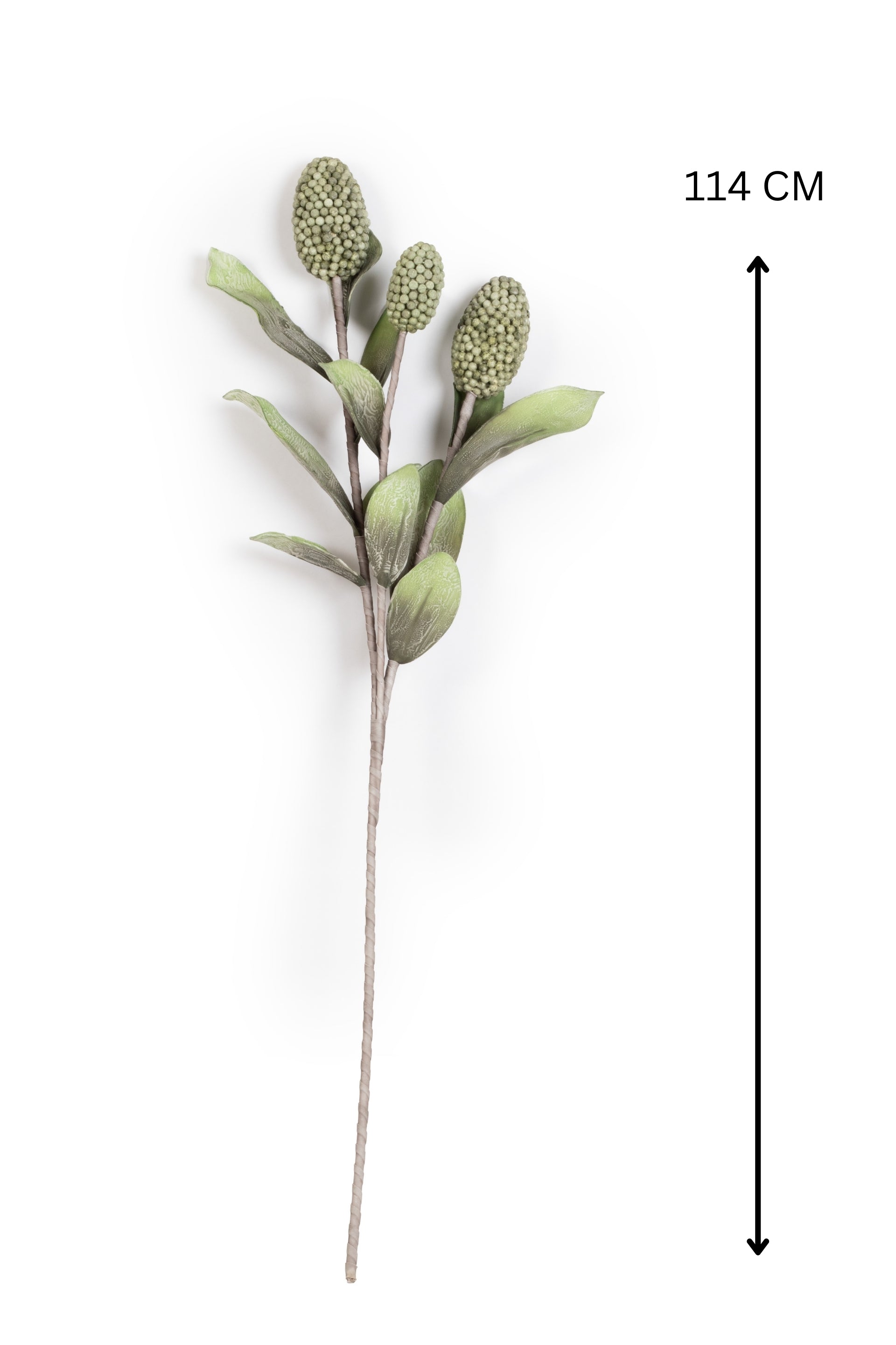 Pine husk stems Flower-Green