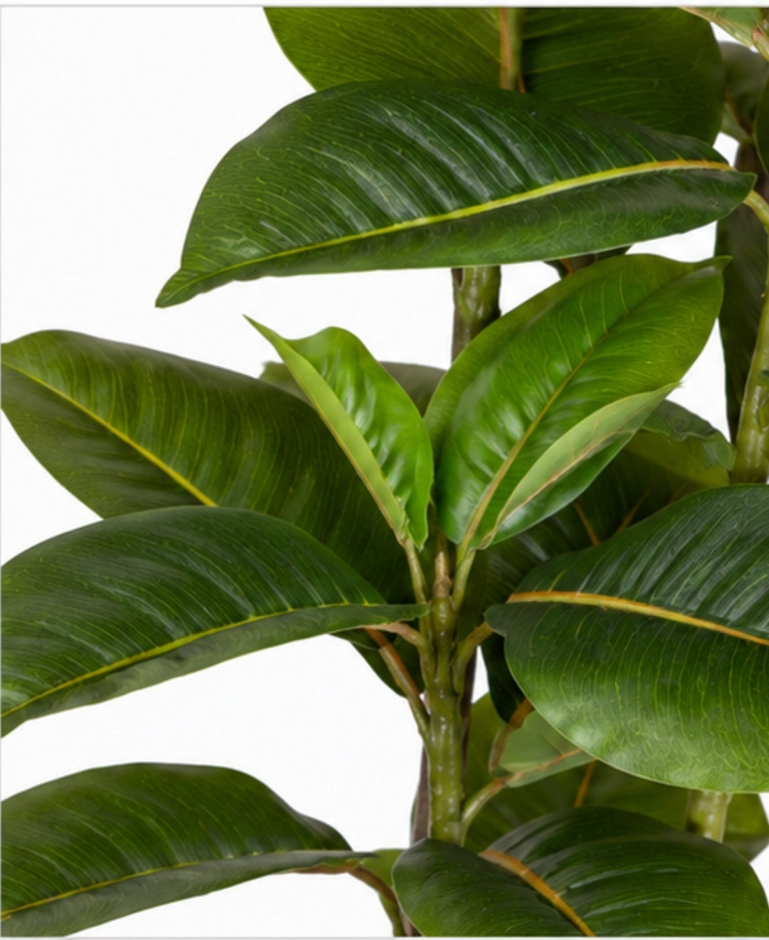 Premium faux Rubber Green Plant With Pot-5FT