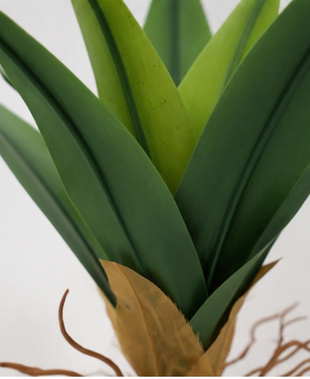 Mini Faux Agave Green Tabletop Plant without Pot