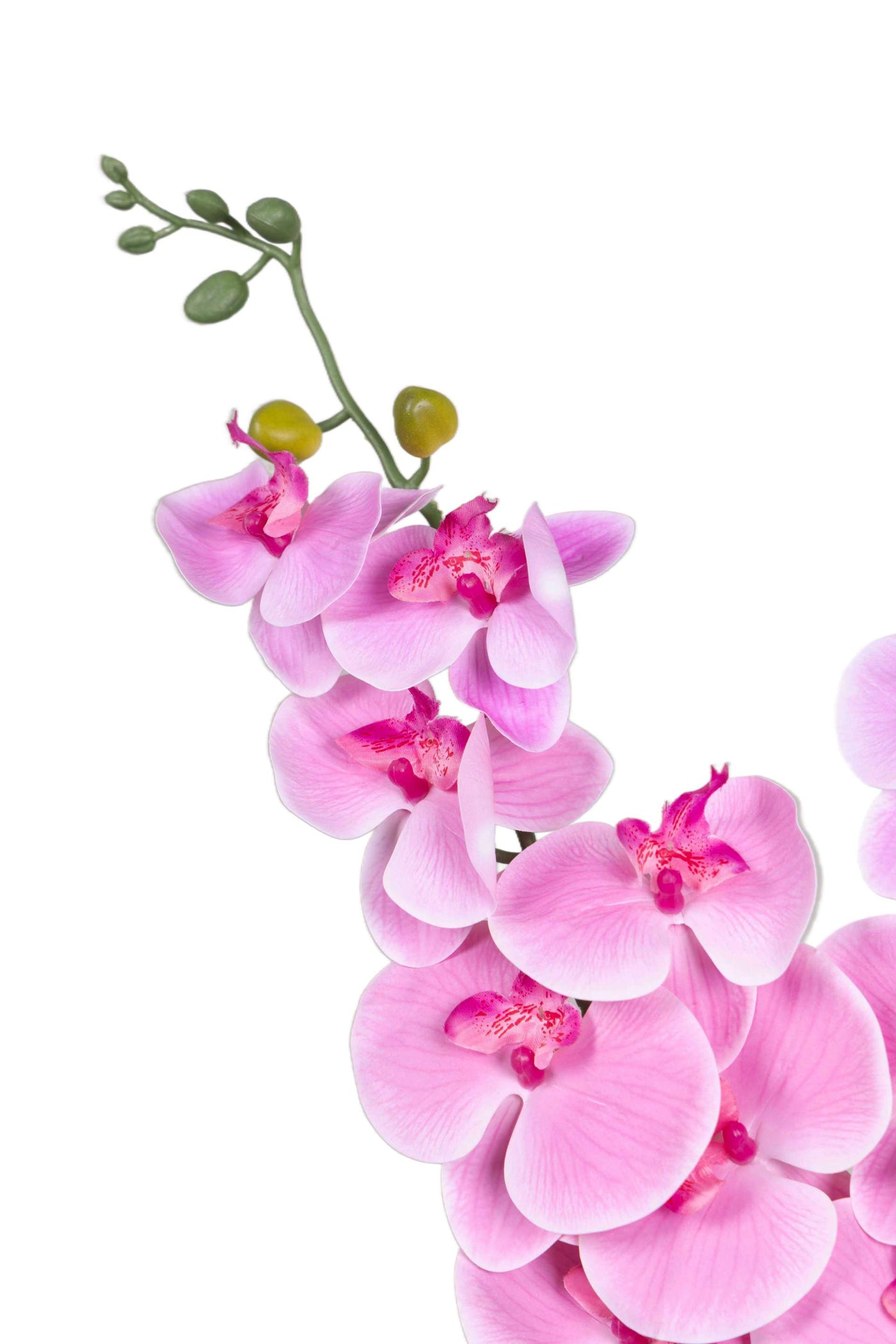 Dual Stem Artificial Orchid Flower-Light Pink