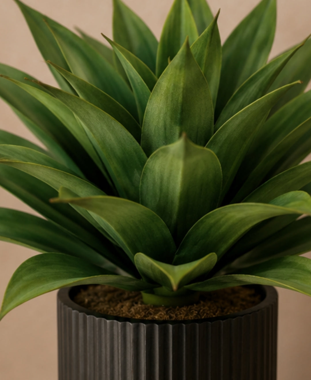 Premium Artificial Agave Succulent Plant Without Pot
