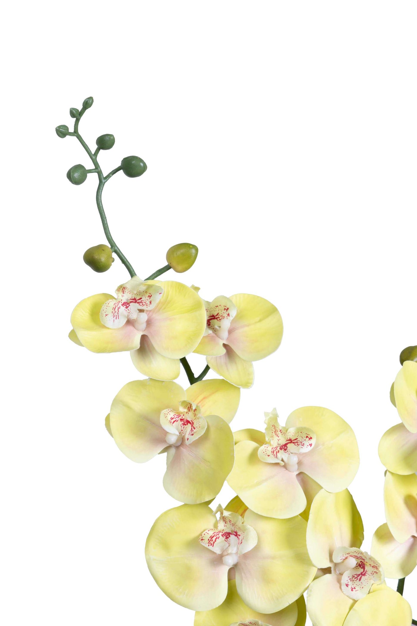 Dual Stem Artificial Orchid Flower-Yellow