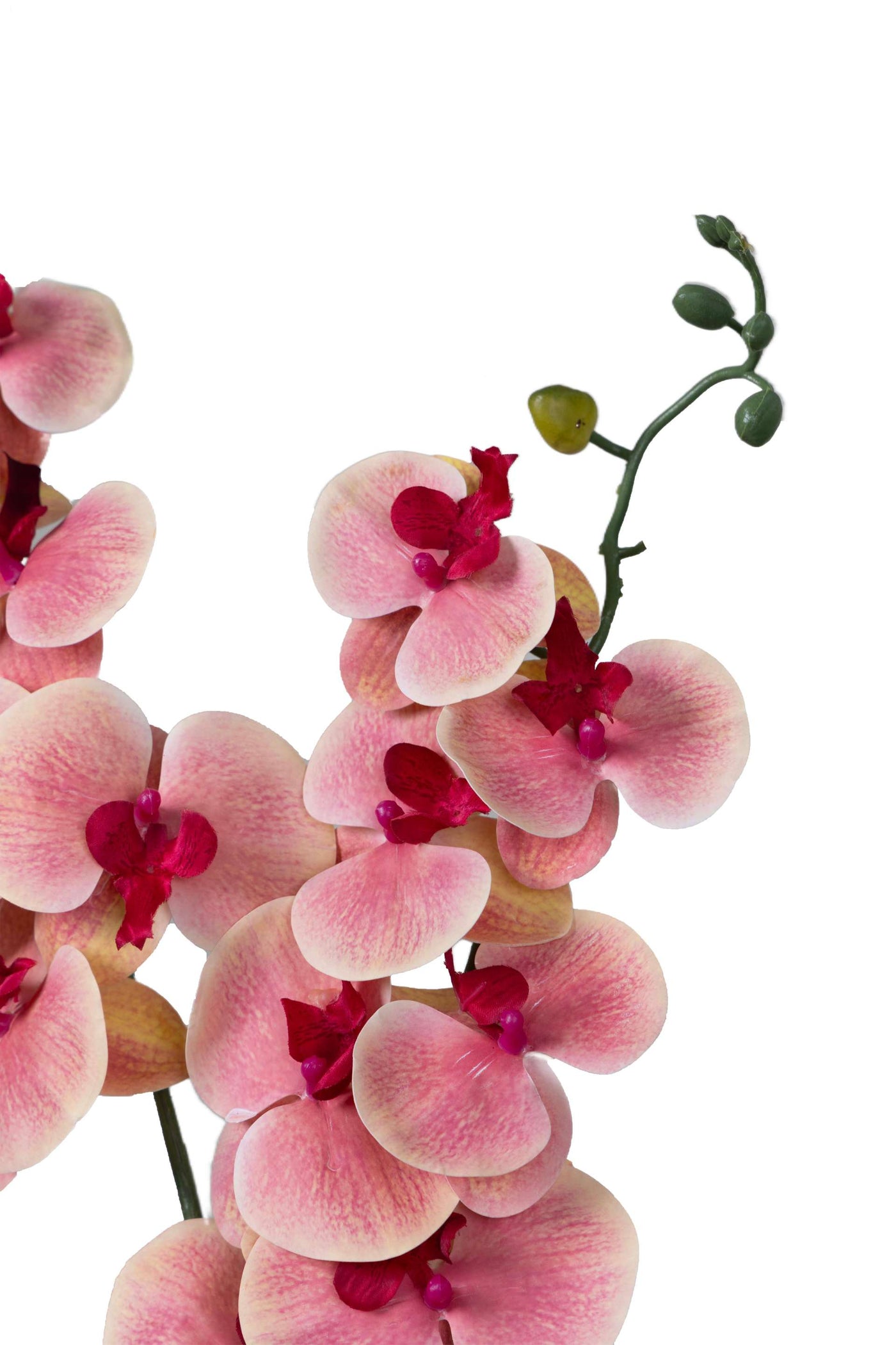 Dual Stem Artificial Orchid Flower-Dark Pink