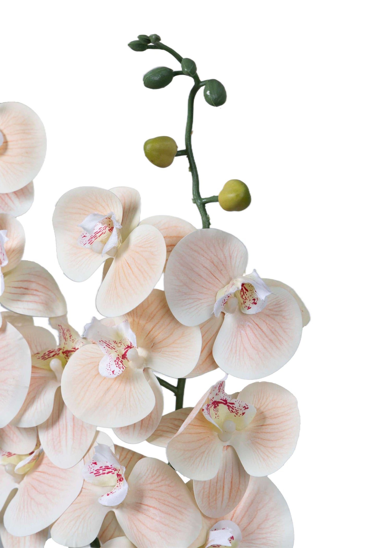 Dual Stem Artificial Orchid Flower-Light Pink