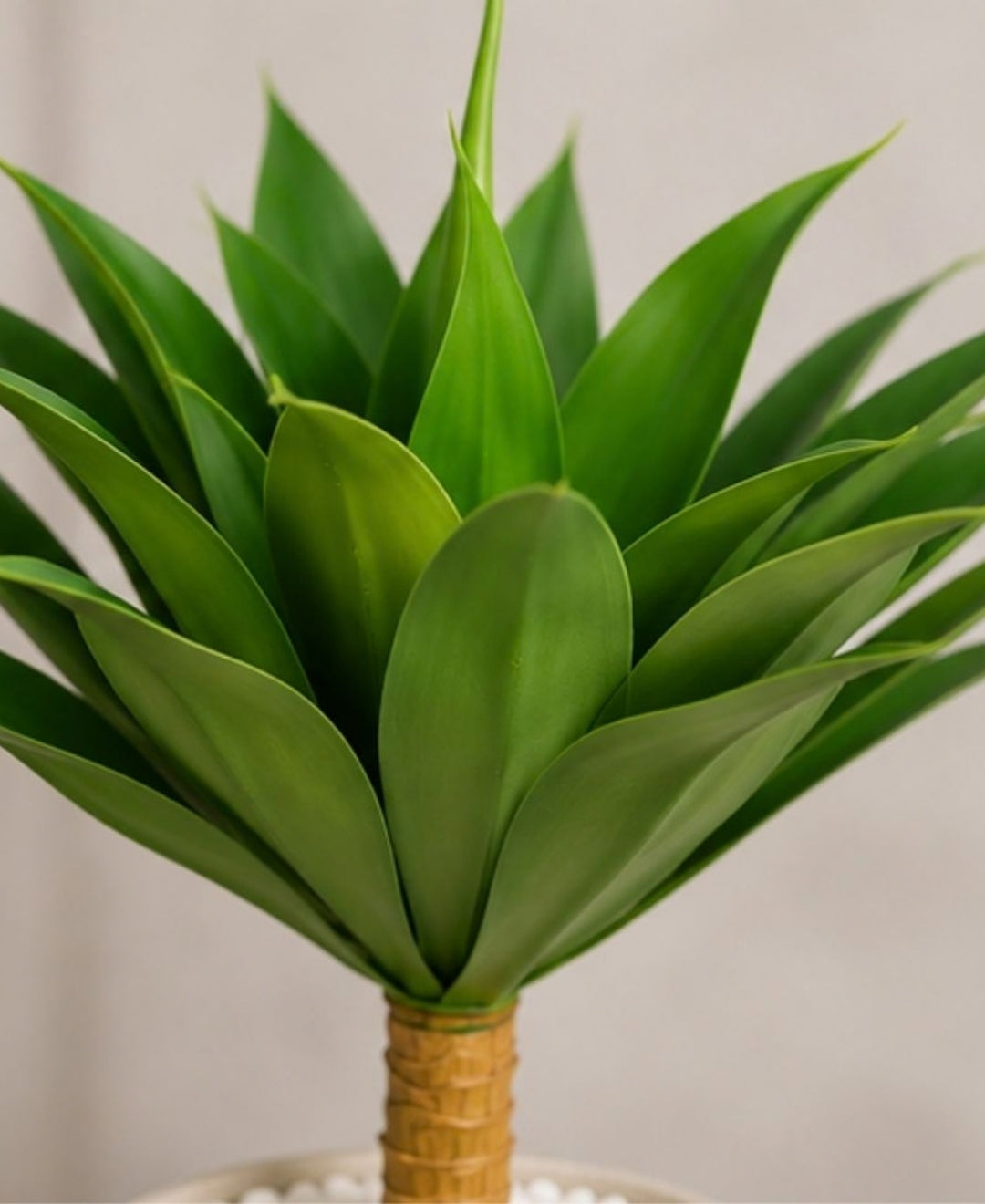 Large Artificial Agave Succulent Plant Without Pot