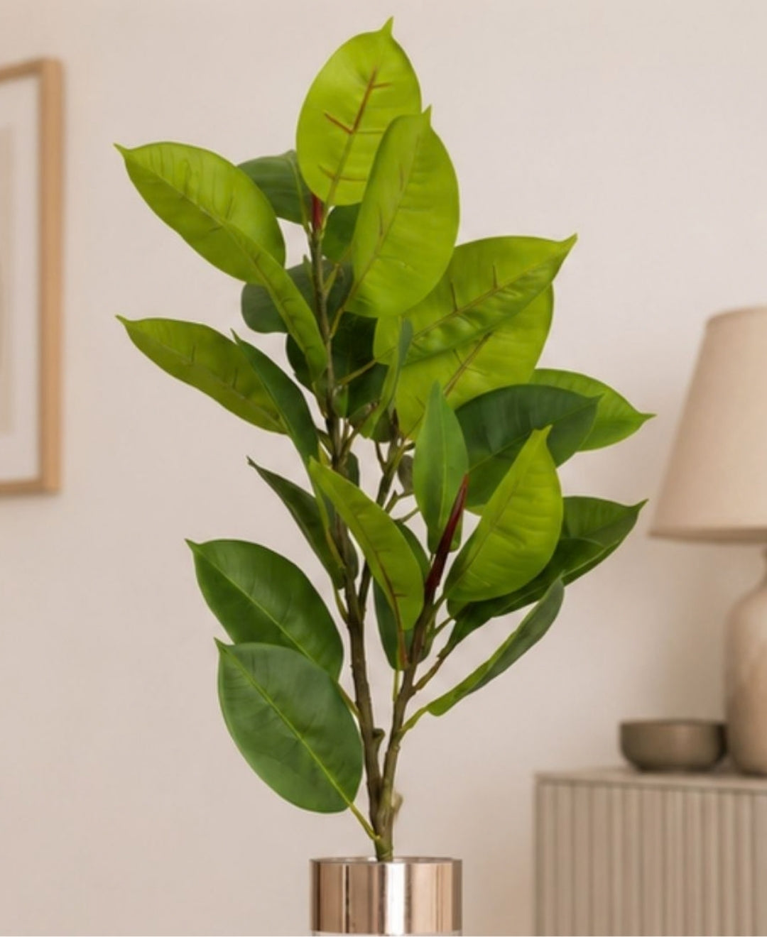 Premium Artificial Variegated Rubber Plant Without Pot
