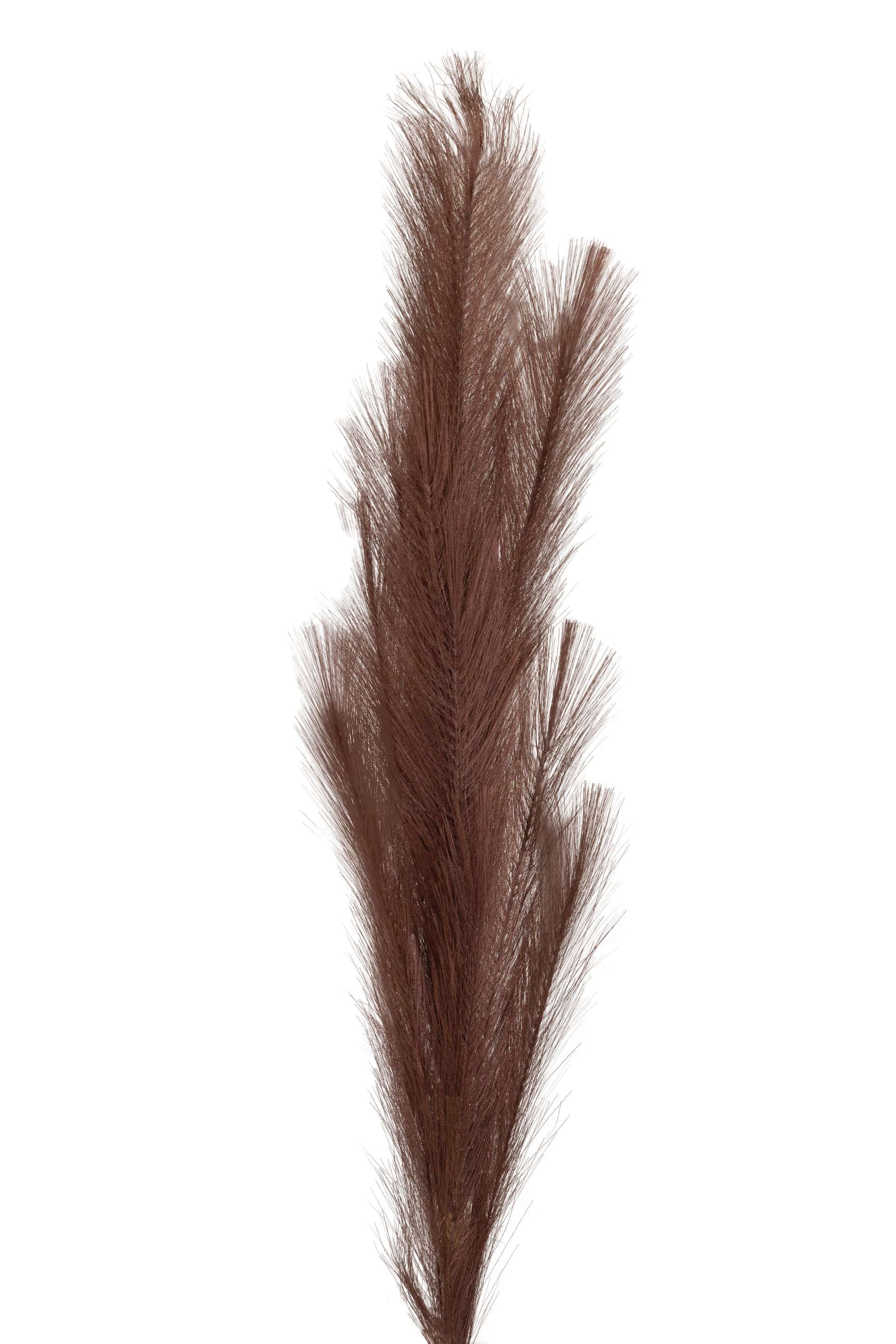 Charm Pampas Grass Stick-Dark Brown