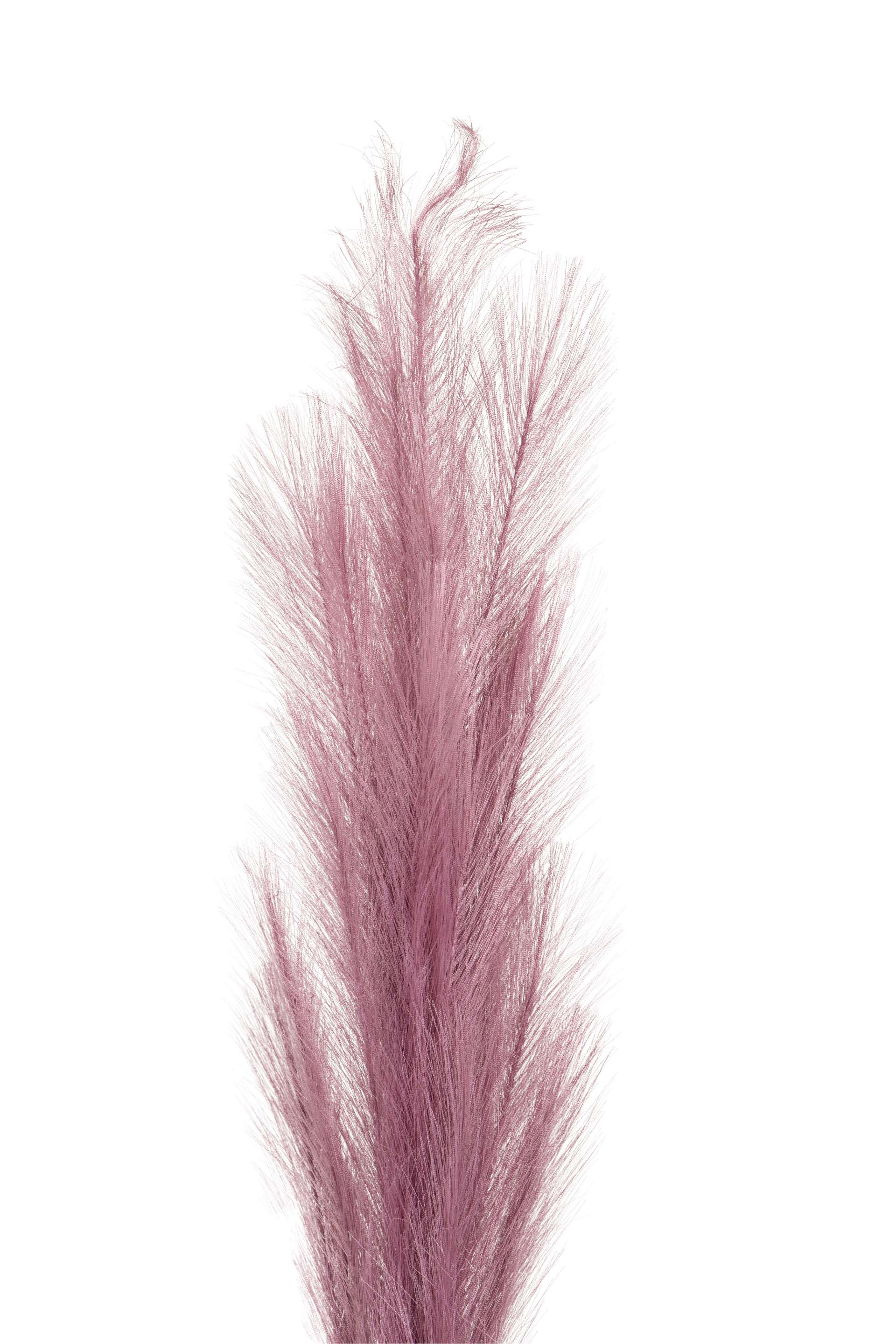 Charm Pampas Grass Stick-Dark Brown