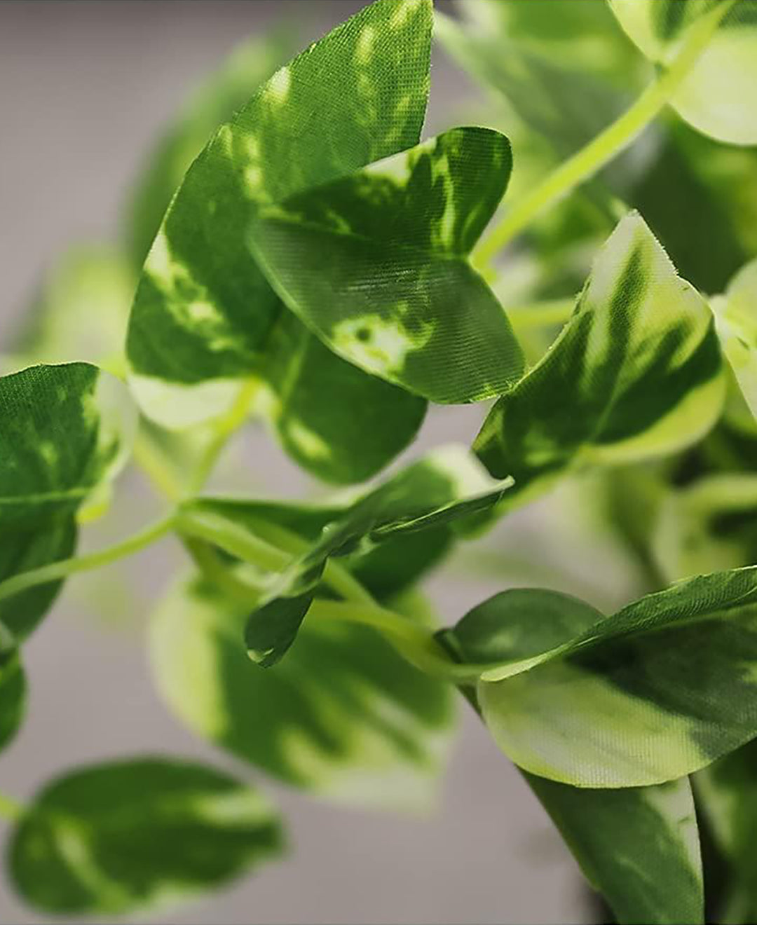 PolliNation Alluring Artificial Hanging Flower Creeper with Hanging Metal Stand for Balcony Garden Decoration (Pack of 1)