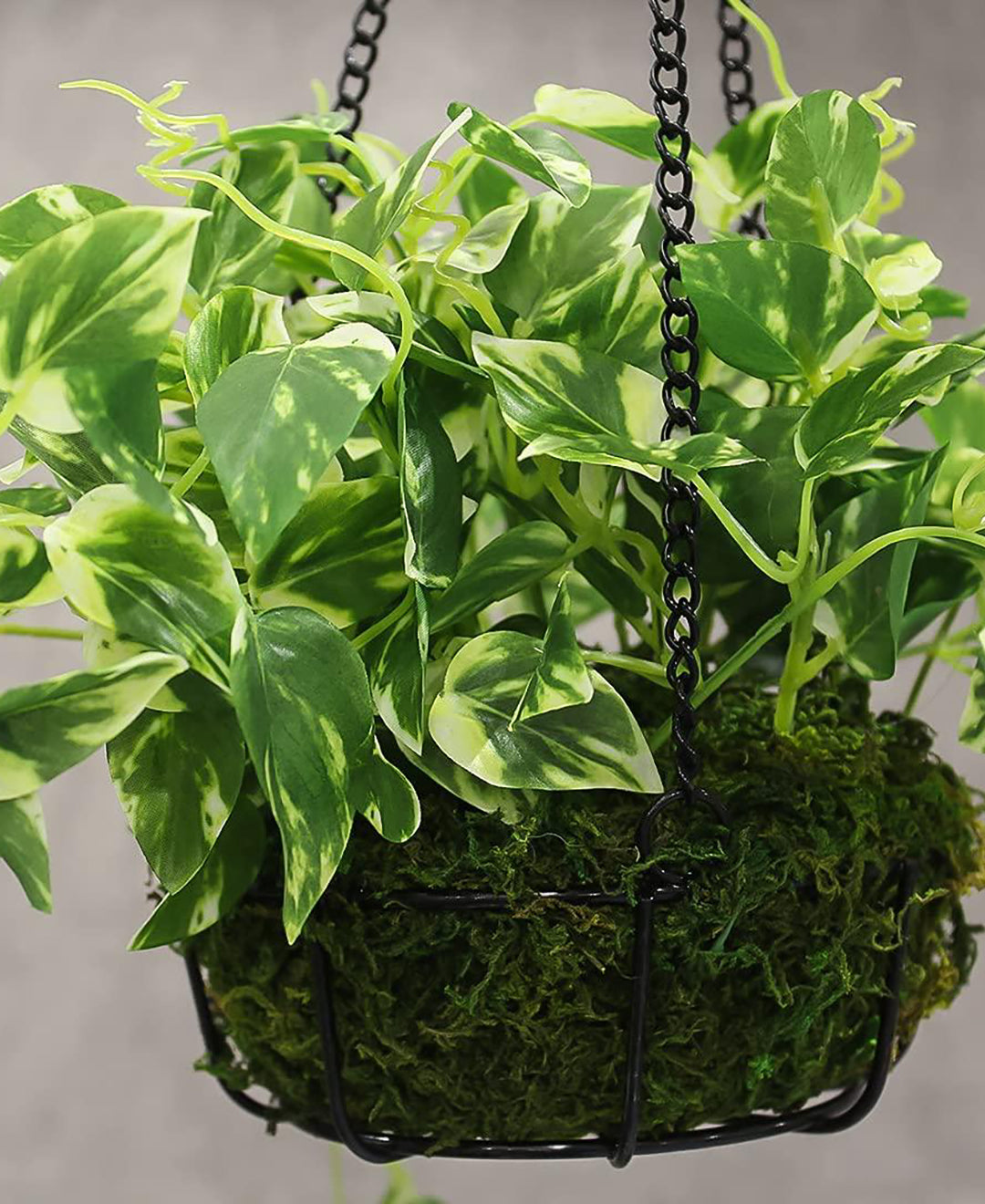 PolliNation Alluring Artificial Hanging Flower Creeper with Hanging Metal Stand for Balcony Garden Decoration (Pack of 1)