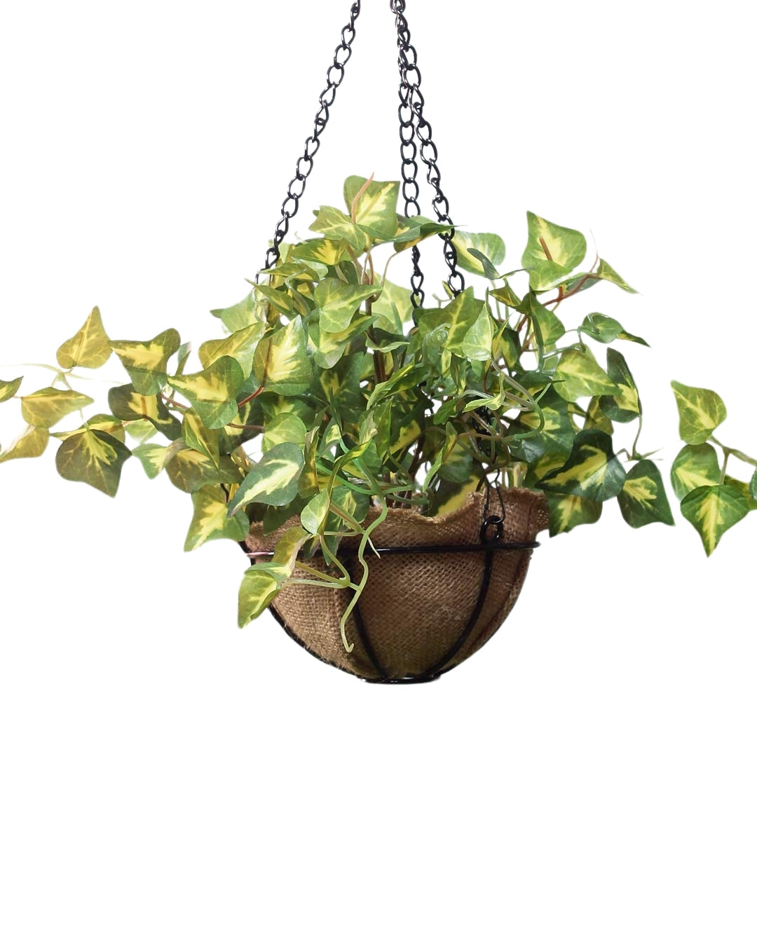 PolliNation Alluring Maple Artificial Hanging Flower Creeper plant in Jute Basket with Hanging Metal Stand (Pack of 1)