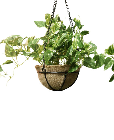 PolliNation Alluring Maple Artificial Hanging Flower Creeper plant in Jute Basket with Hanging Metal Stand (Pack of 1)