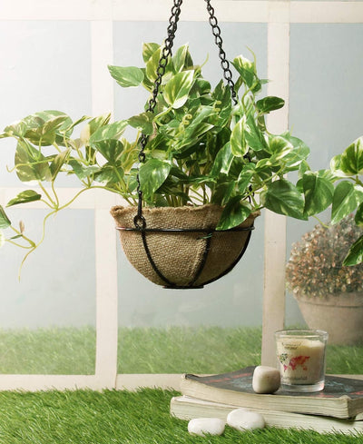 PolliNation Alluring Maple Artificial Hanging Flower Creeper plant in Jute Basket with Hanging Metal Stand (Pack of 1)