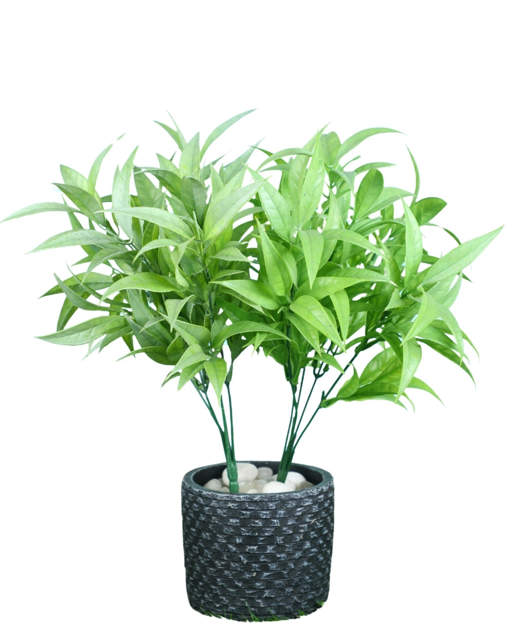 Pollination Artificial Lucky Bamboo small plant Good looking Leaves Bunch without Pot (Pack of 2)