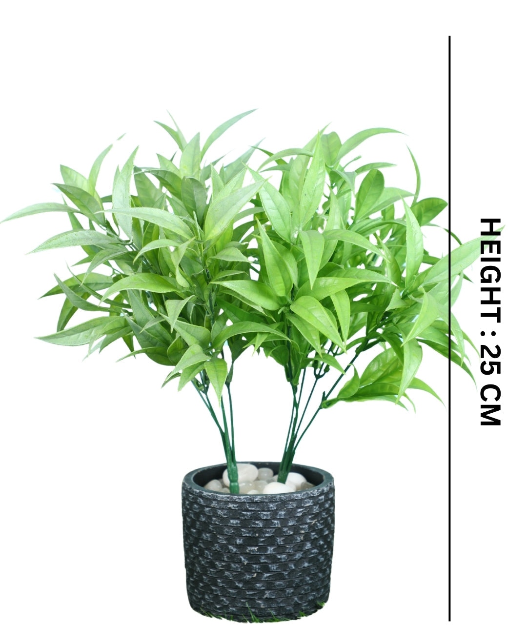 Pollination Artificial Lucky Bamboo small plant Good looking Leaves Bunch without Pot (Pack of 2)