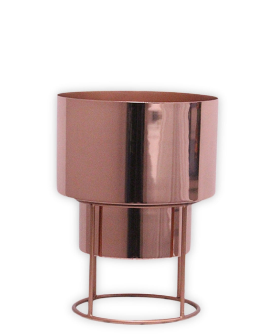 Pollination Metal Flower Pots Planter With Metal Stand For Indoor Outdoor Garden Living Room Office Hall-Large