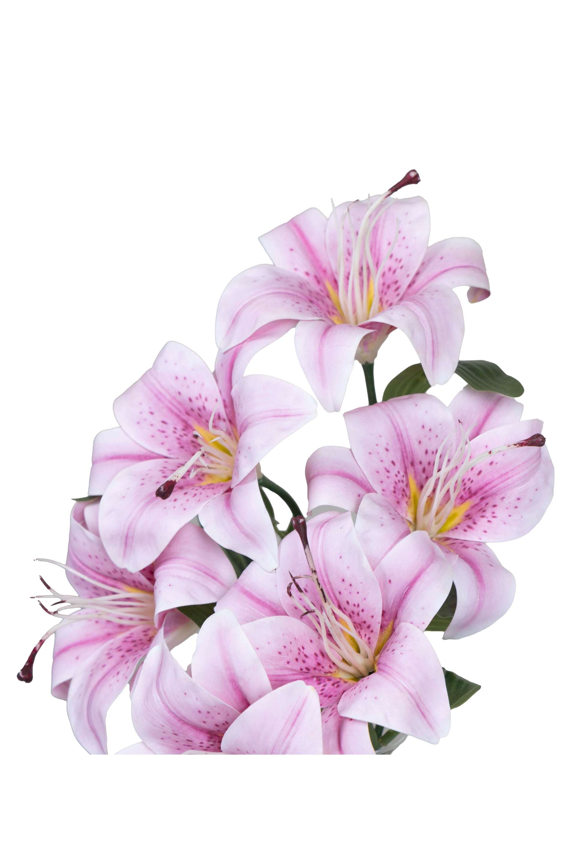 Artificial Lily Flowers for your home or office decor-White