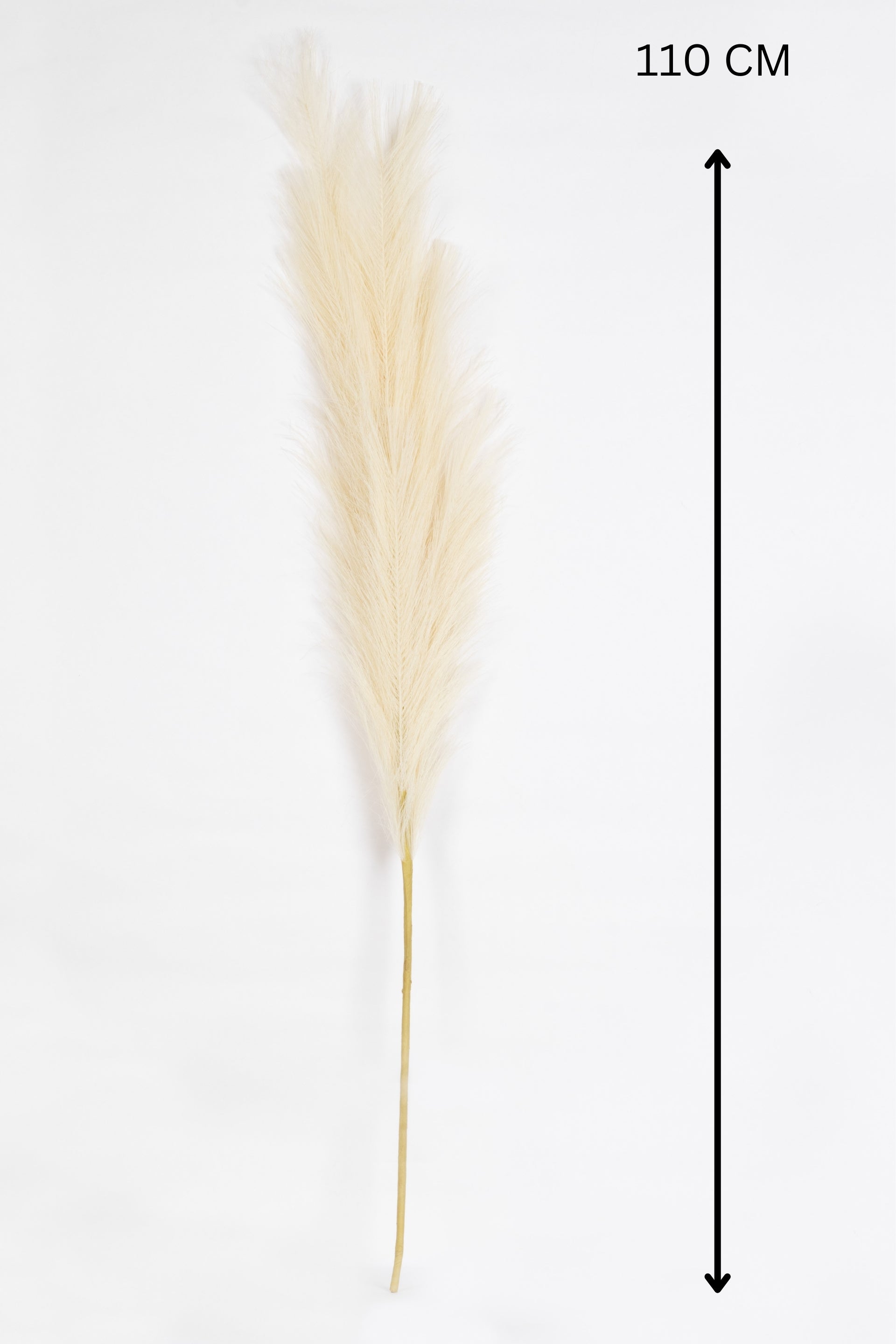 Charm Pampas Grass Stick-Dark Brown