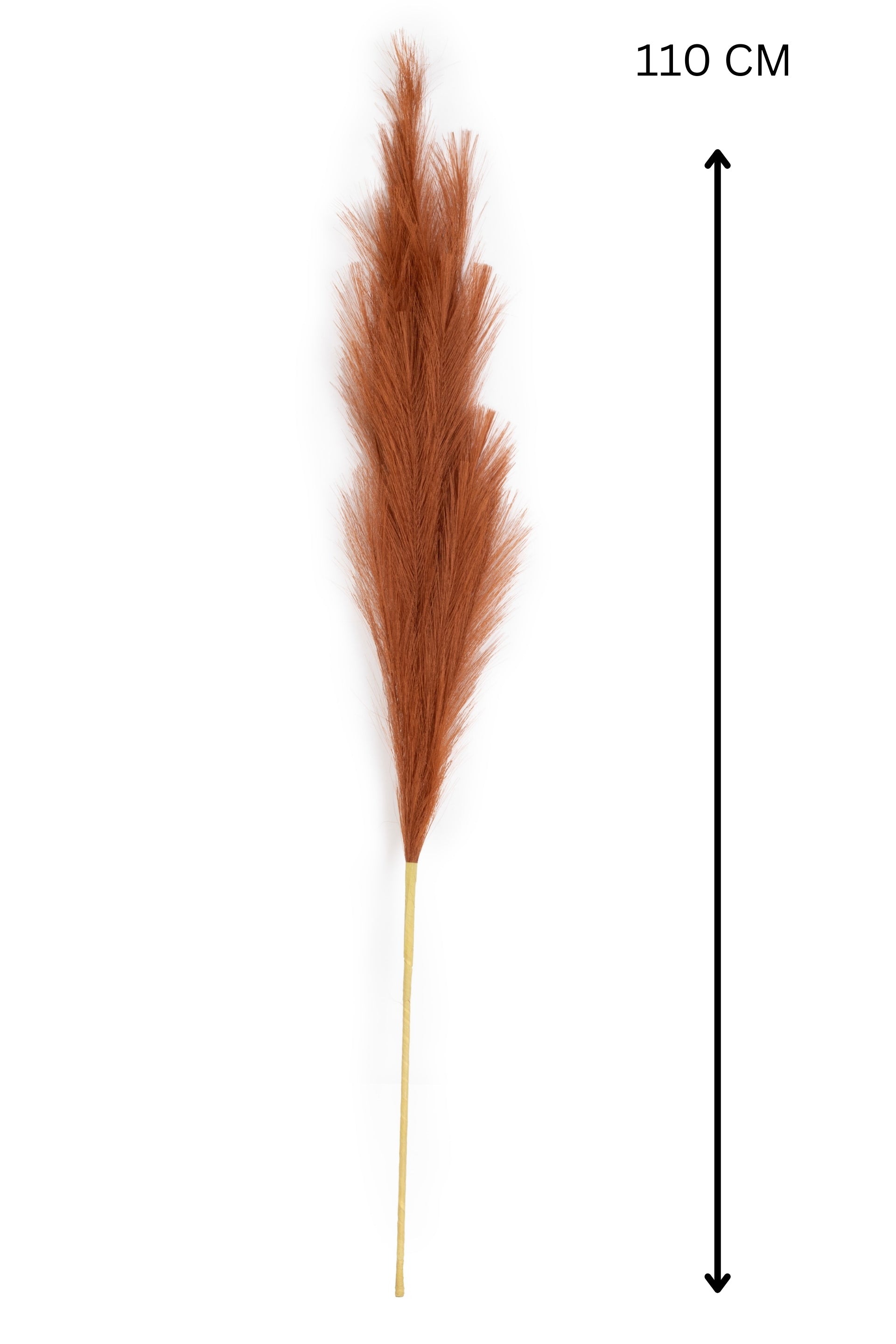 Charm Pampas Grass Stick-Dark Brown