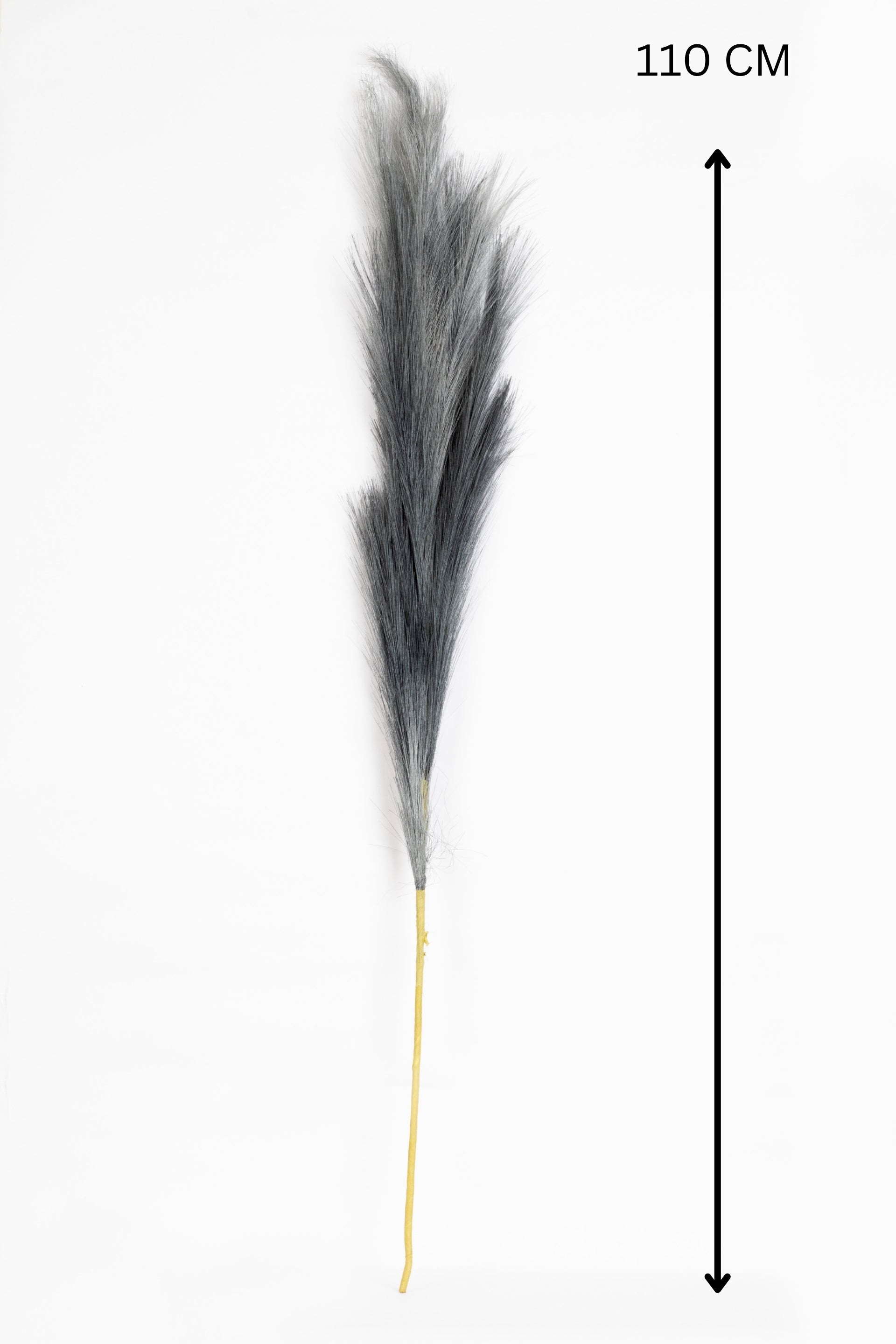 Charm Pampas Grass Stick-Dark Brown