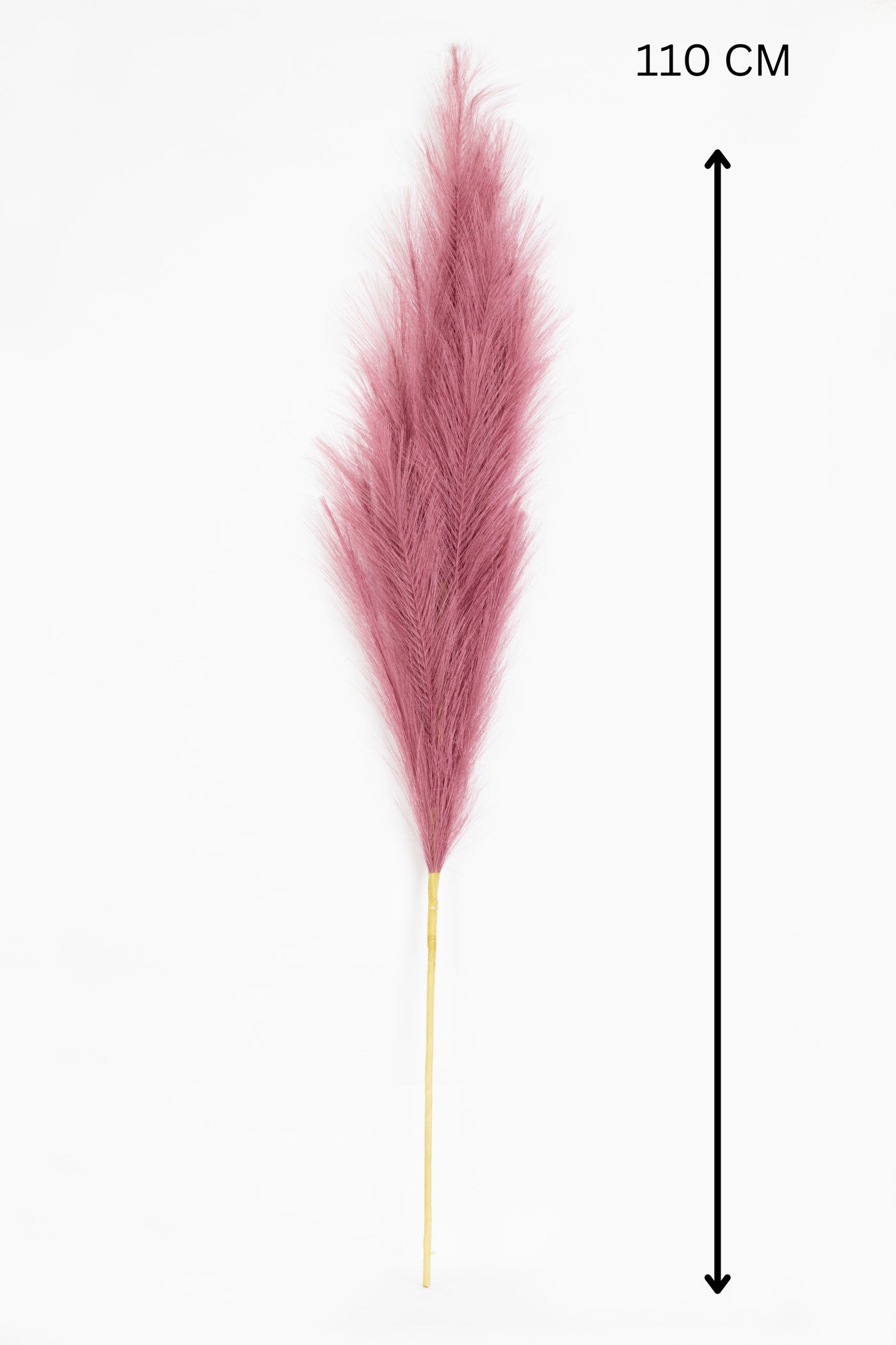 Charm Pampas Grass Stick-Light Pink