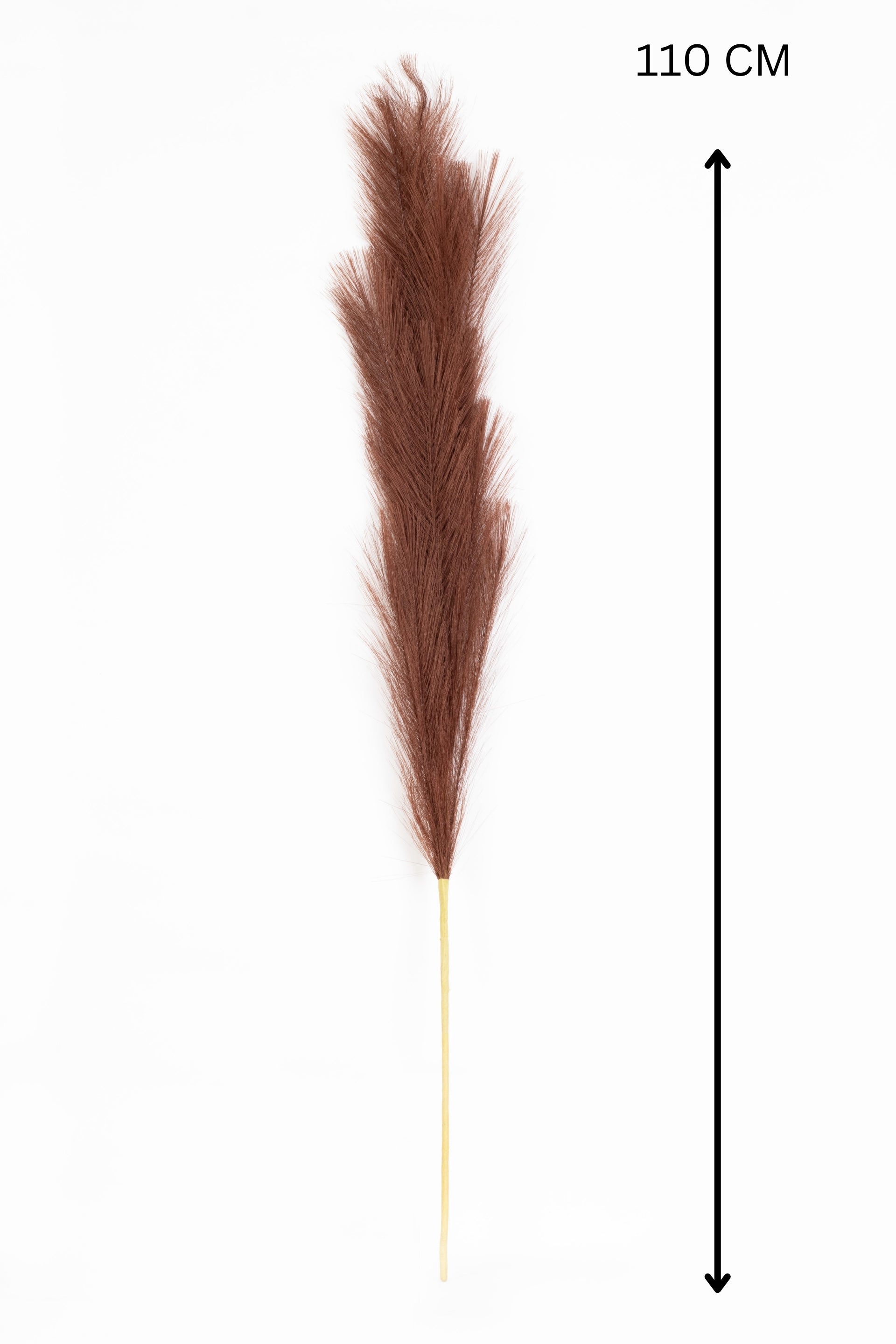 Charm Pampas Grass Stick-Dark Brown